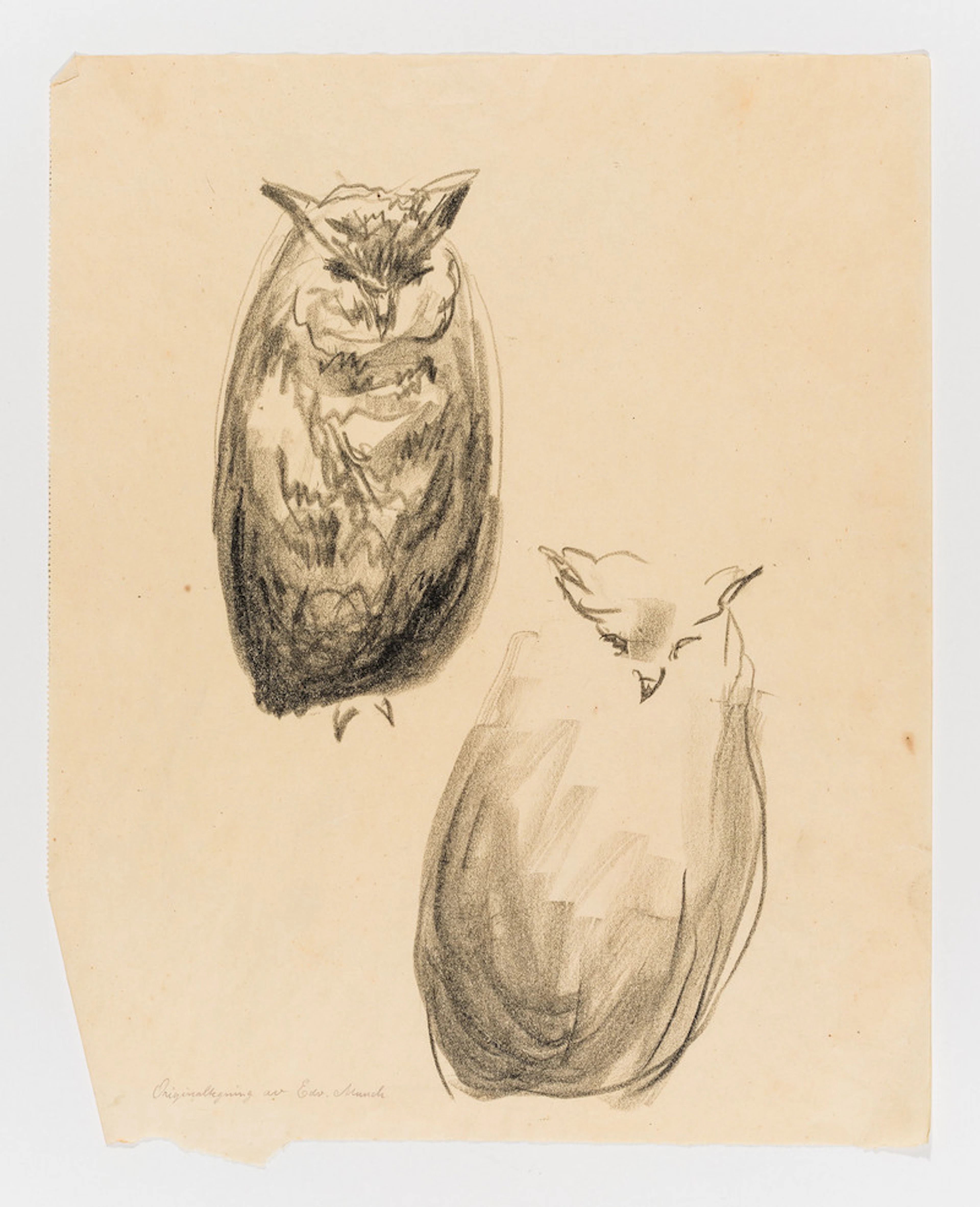 Two Owls - Munch, Edvard(1863-1944)
