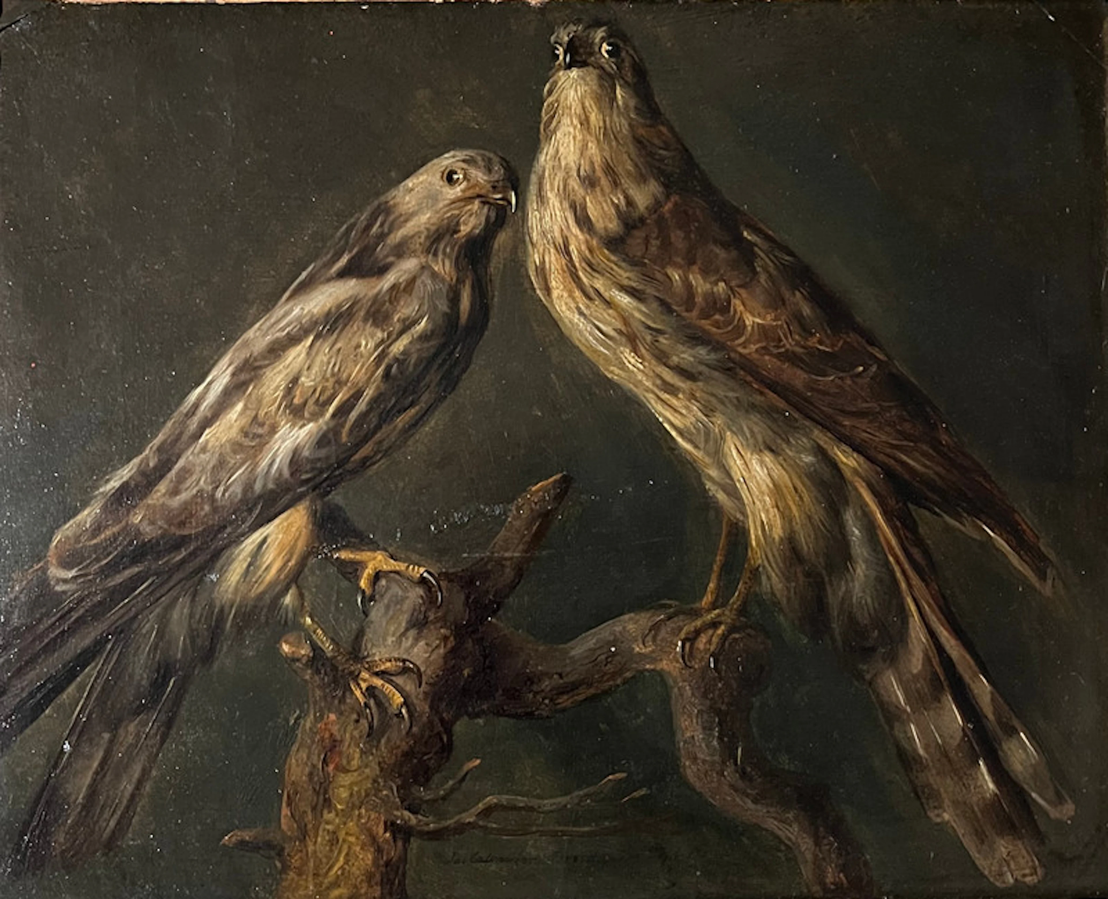To falker 1830 - Calmeyer, Jacob Mathias(1802-1883)