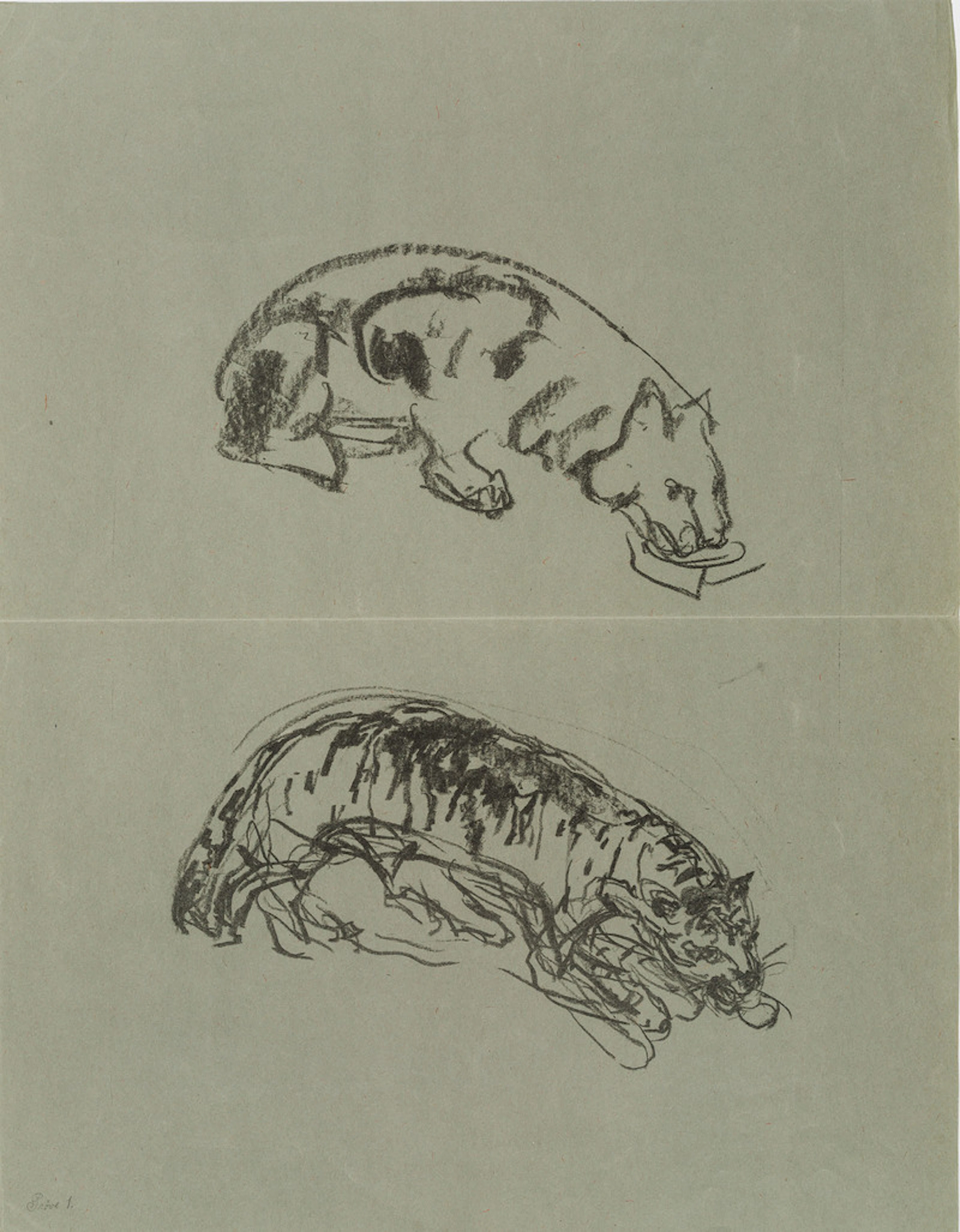 Creeping tiger/Lioness Drinking (1915-1916) - Munch, Edvard(1863-1944)
