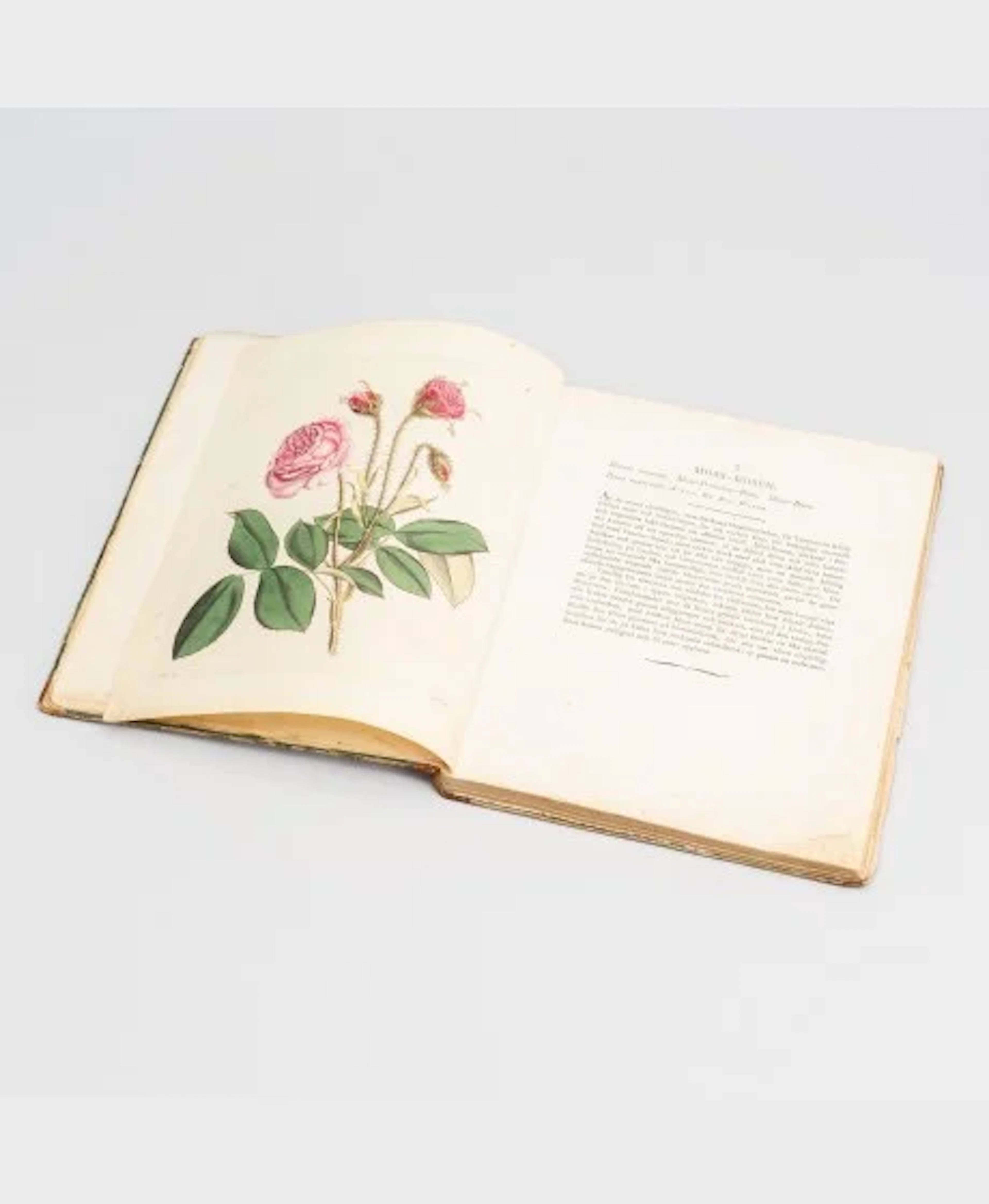 Kirja: August Pfeiffer: Magasin för blomster-älskare, Stockholm 1803