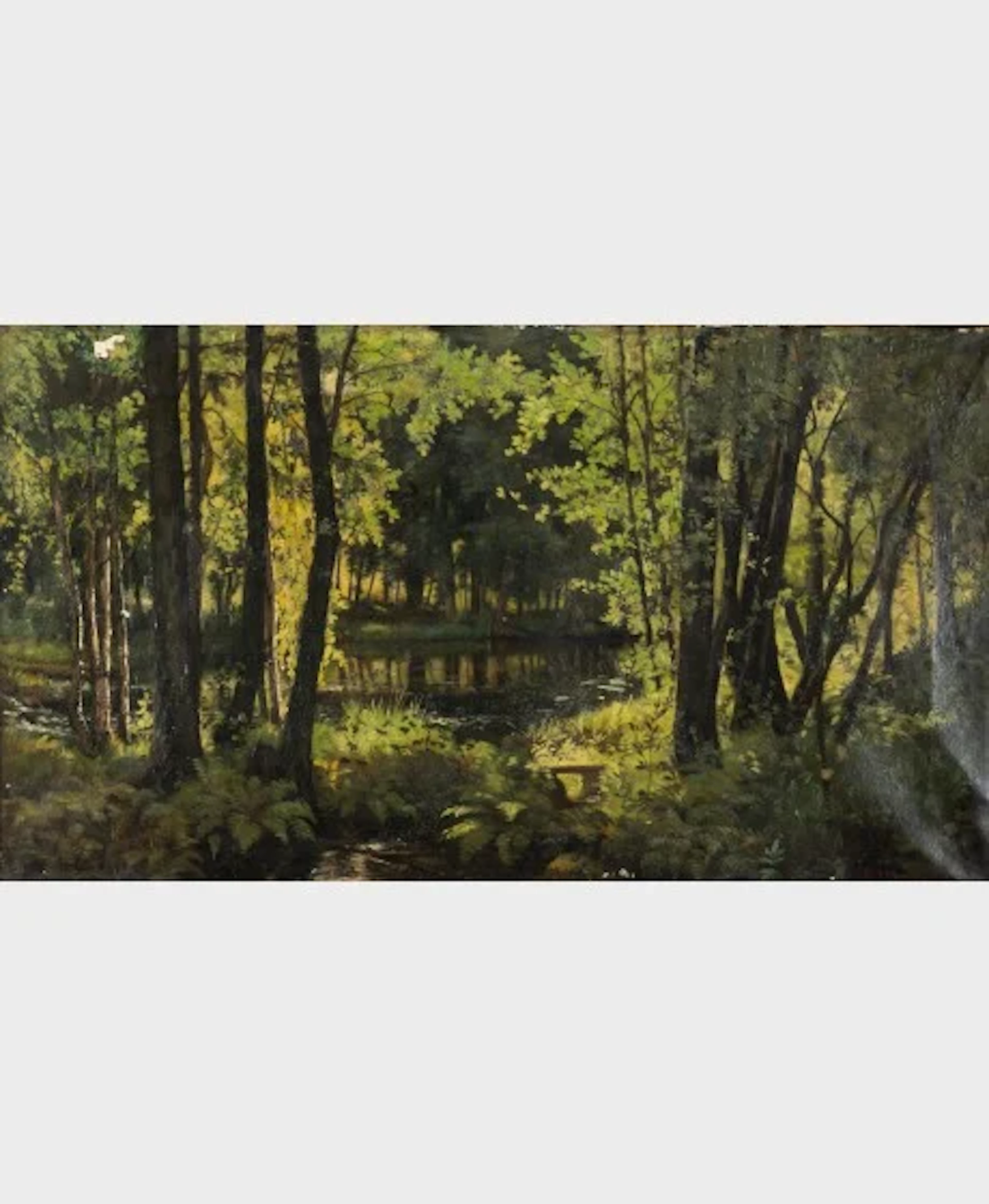 Otto Wallenius (1855-1925)