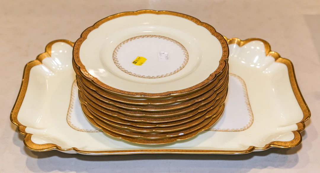 Nine Haviland Limoges Service Plates & Platter