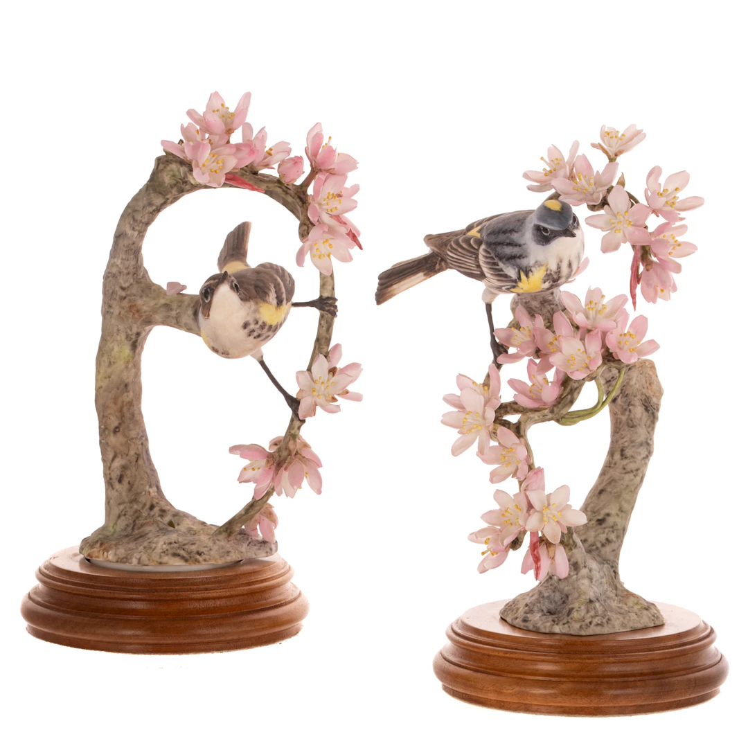Dorothy Doughty for Royal Worcester "Myrtle Warbler & Weeping Cherry"