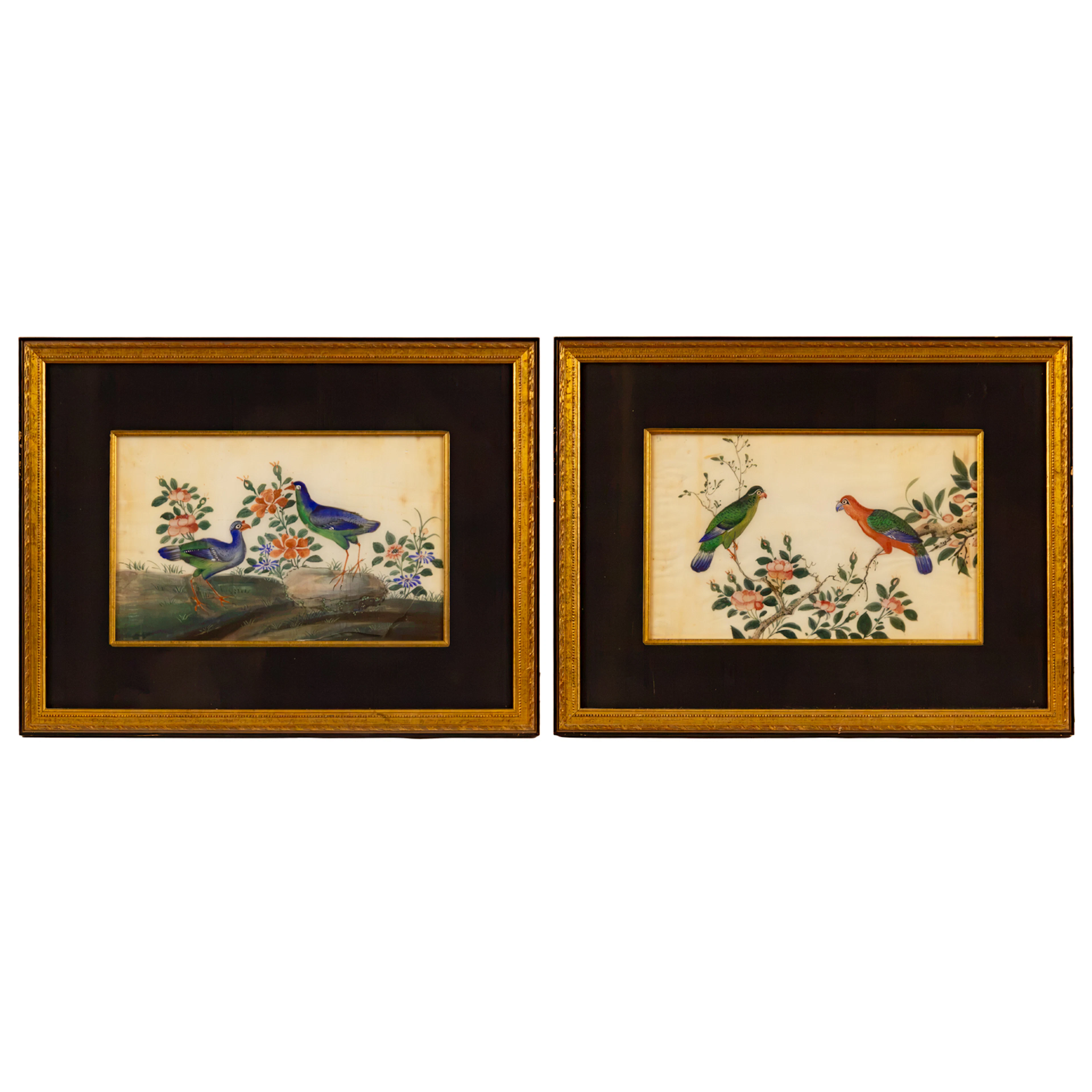 A Pair of Chinese Export Ornithological Gouaches