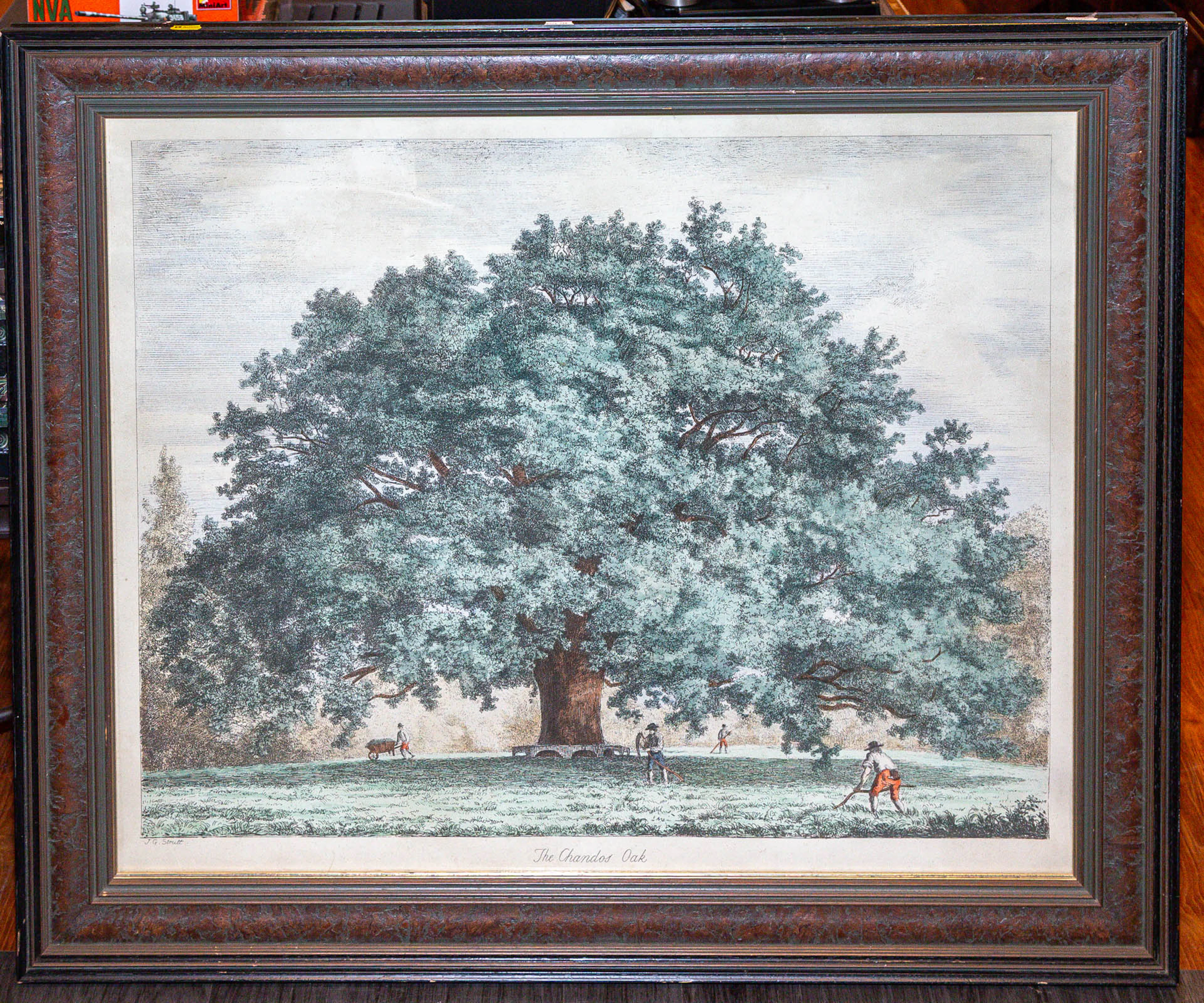 After G. Strutt, "The Chandos Oak," Framed