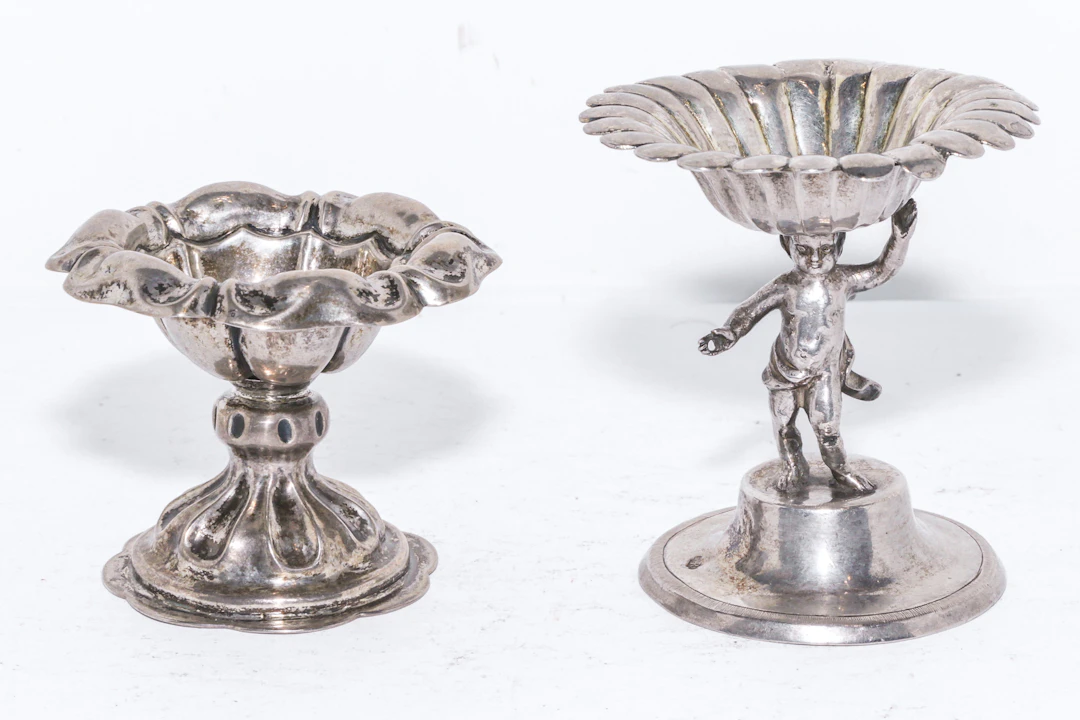 Two Austro-Hungarian Silver Salts