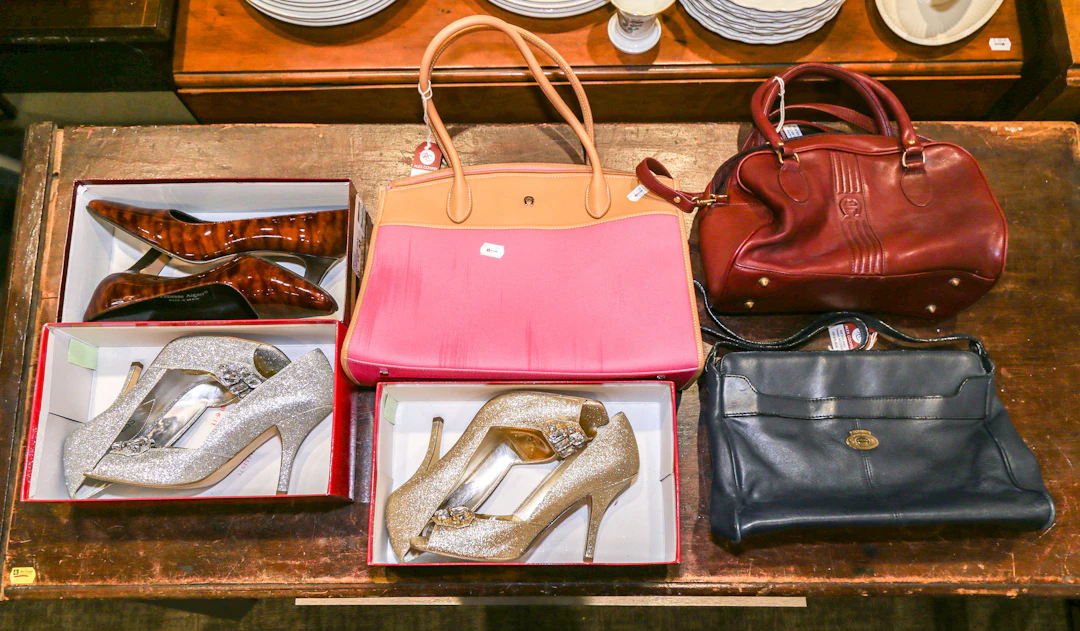 Etienne Aigner Handbags & a Pair of Shoes