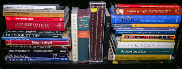 A Collection of Books on Art History