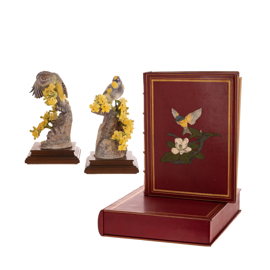 Dorothy Doughty for Royal Worcester "Audubon Warbler & Palo Verdi"