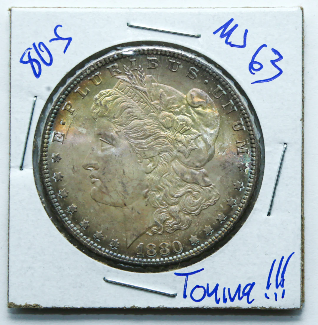 Gorgeous 1880-S Morgan Spectacular Toning MS63