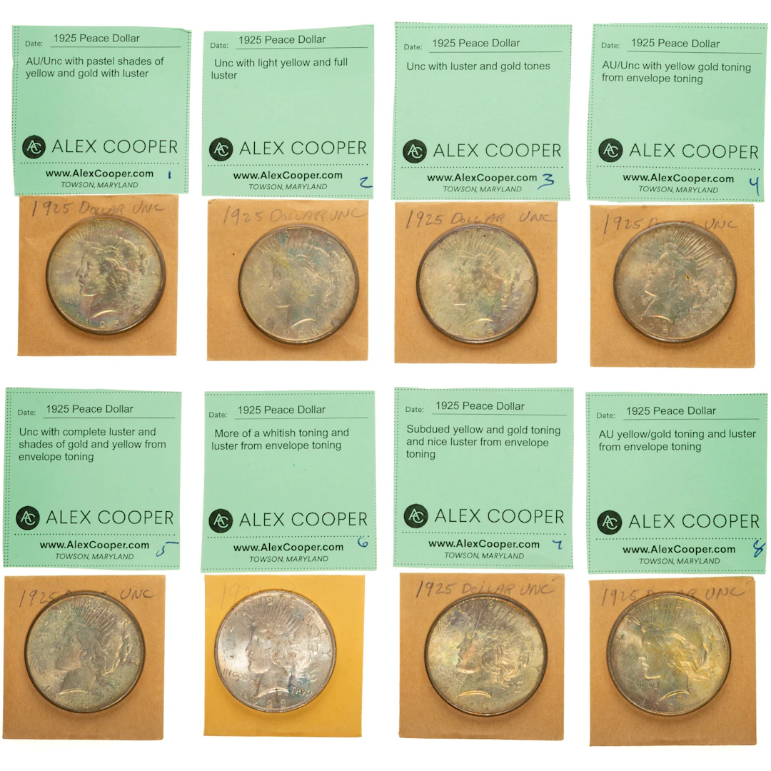 Eight Envelope Toned 1925 Peace Dollars