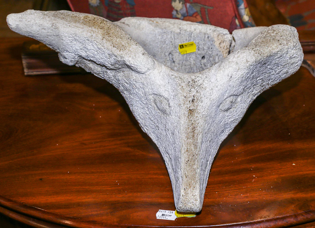 An Inuit Carved Whale Vertebra