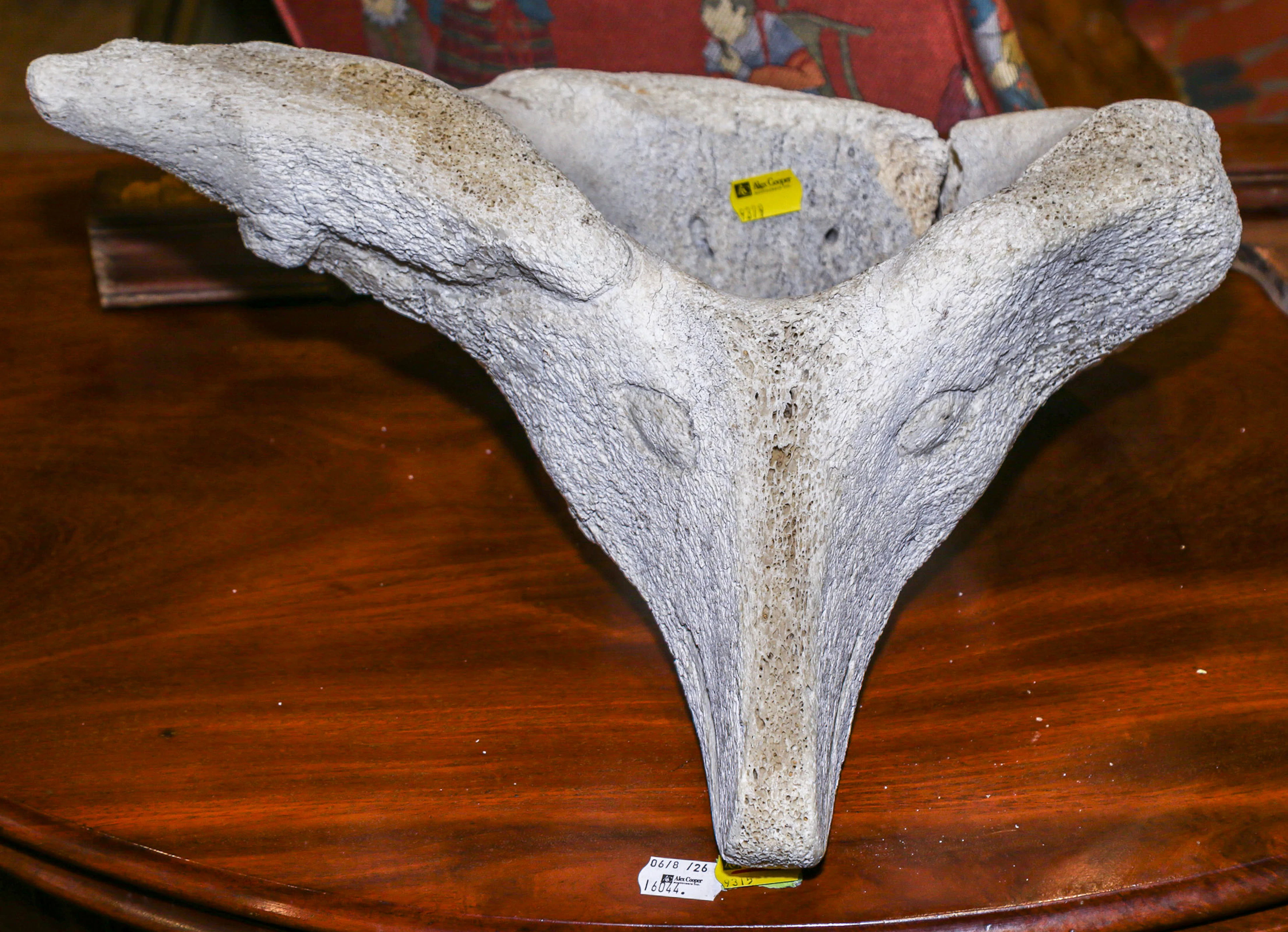 An Inuit Carved Whale Vertebra