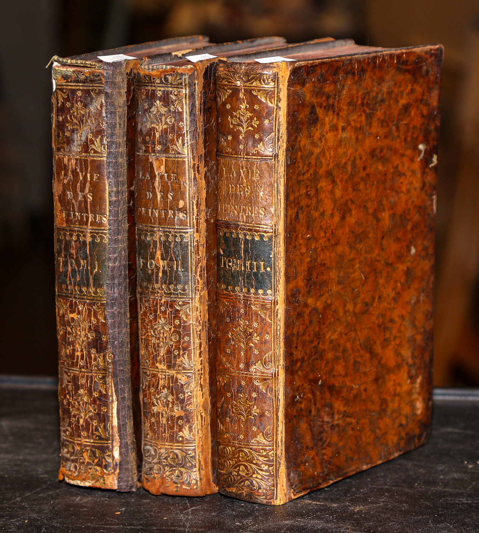 "The Lives of Flemish Painters," Three Volumes