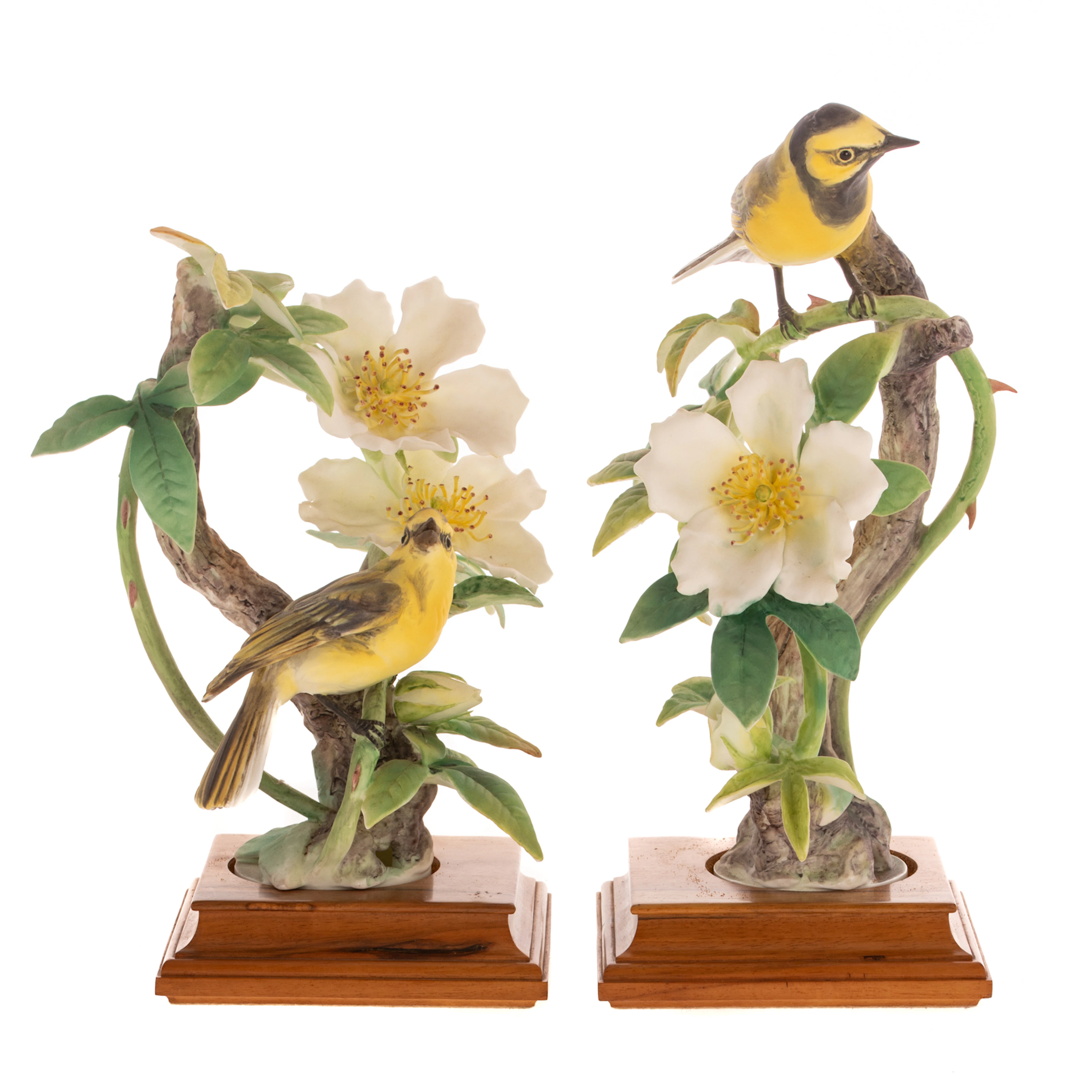 Dorothy Doughty for Royal Worcester "Hooded Warbler Wilsonia Citrina