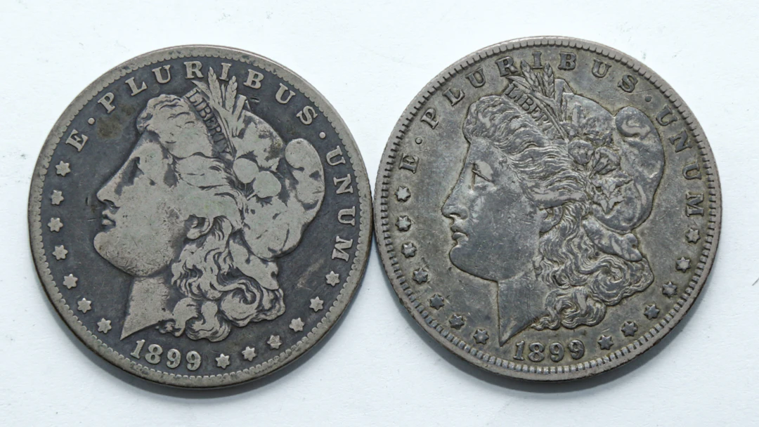 Two 1899-O (G & XF45) Micro-O VAM Varieties