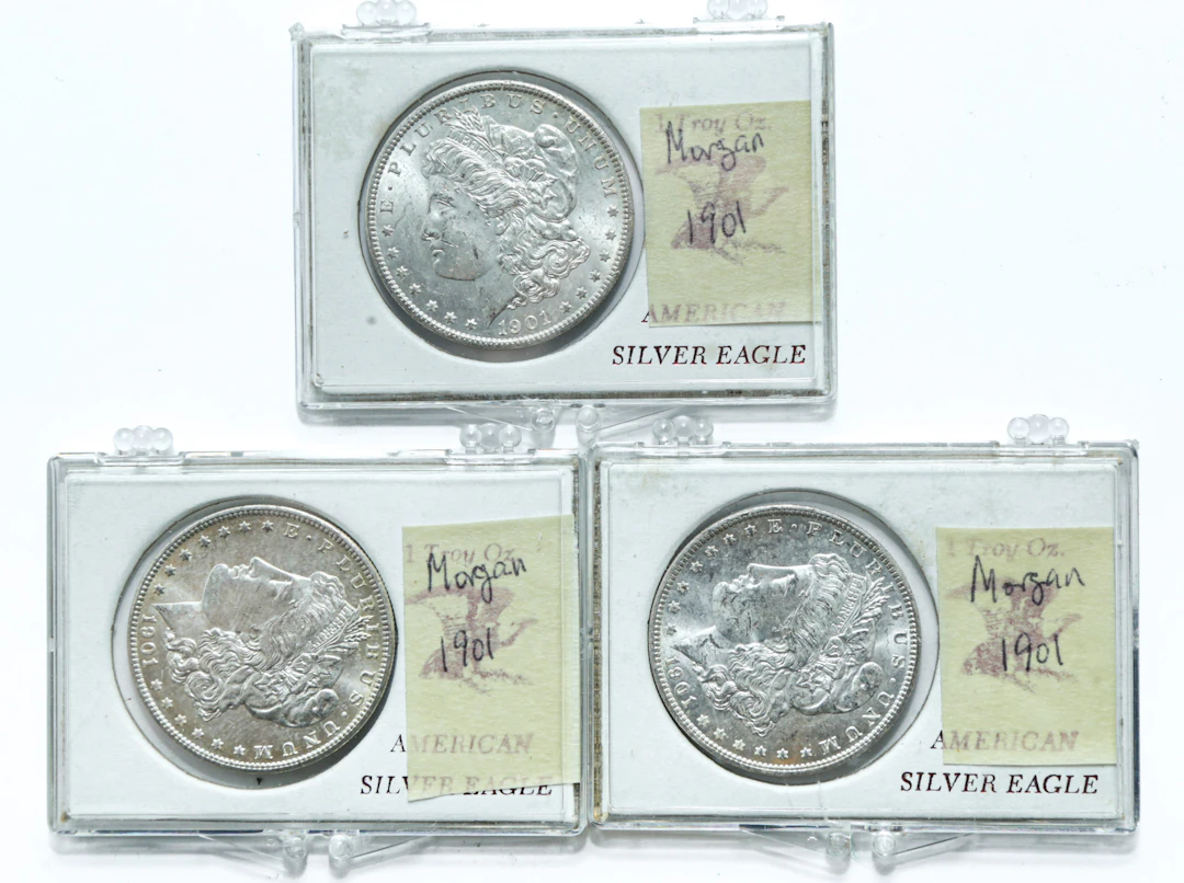 Three 1901-O Morgan Dollars