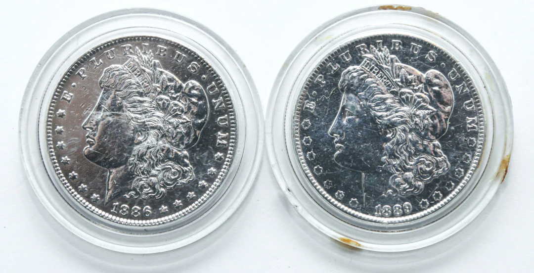 A Pair of Polished Morgan Dollars