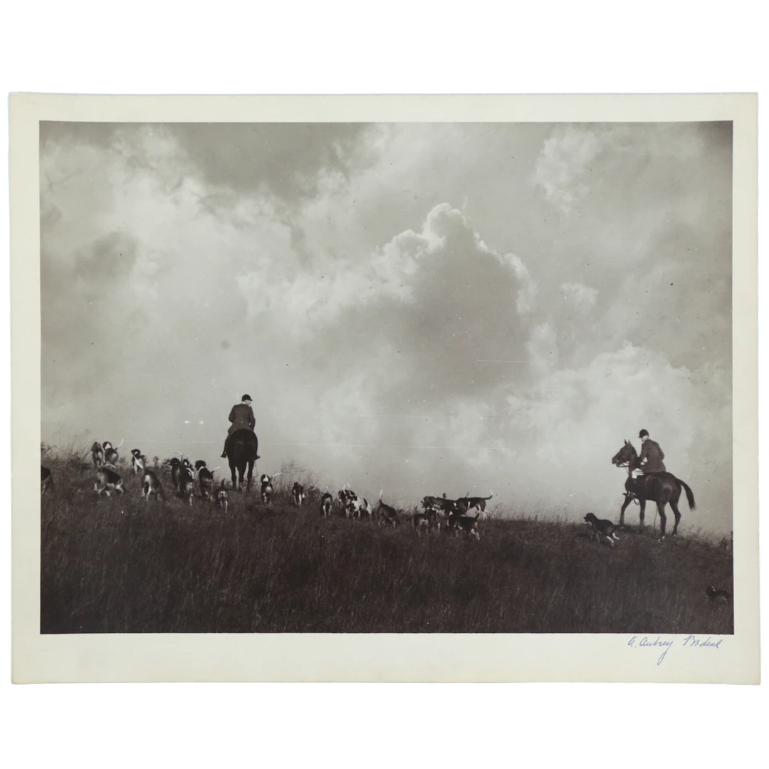 A. Aubrey Bodine. "Chasing the Hounds," photograph