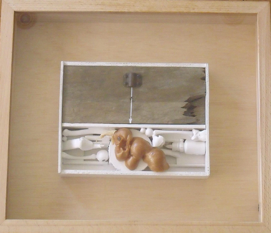 Ricard Jordan. Installation with mixed technique. 2011. Box format
