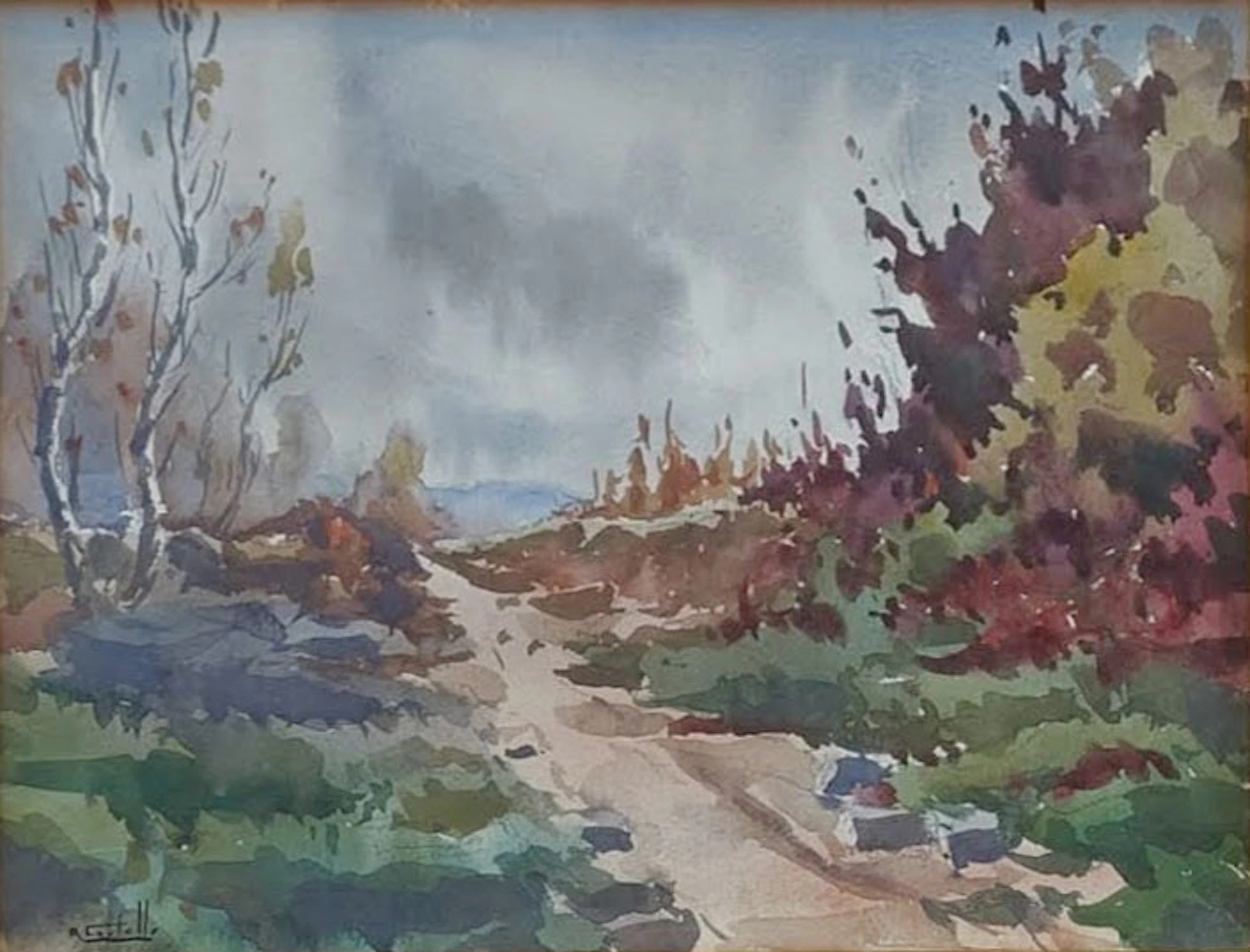 Ramon Castells i Soley, Landscape