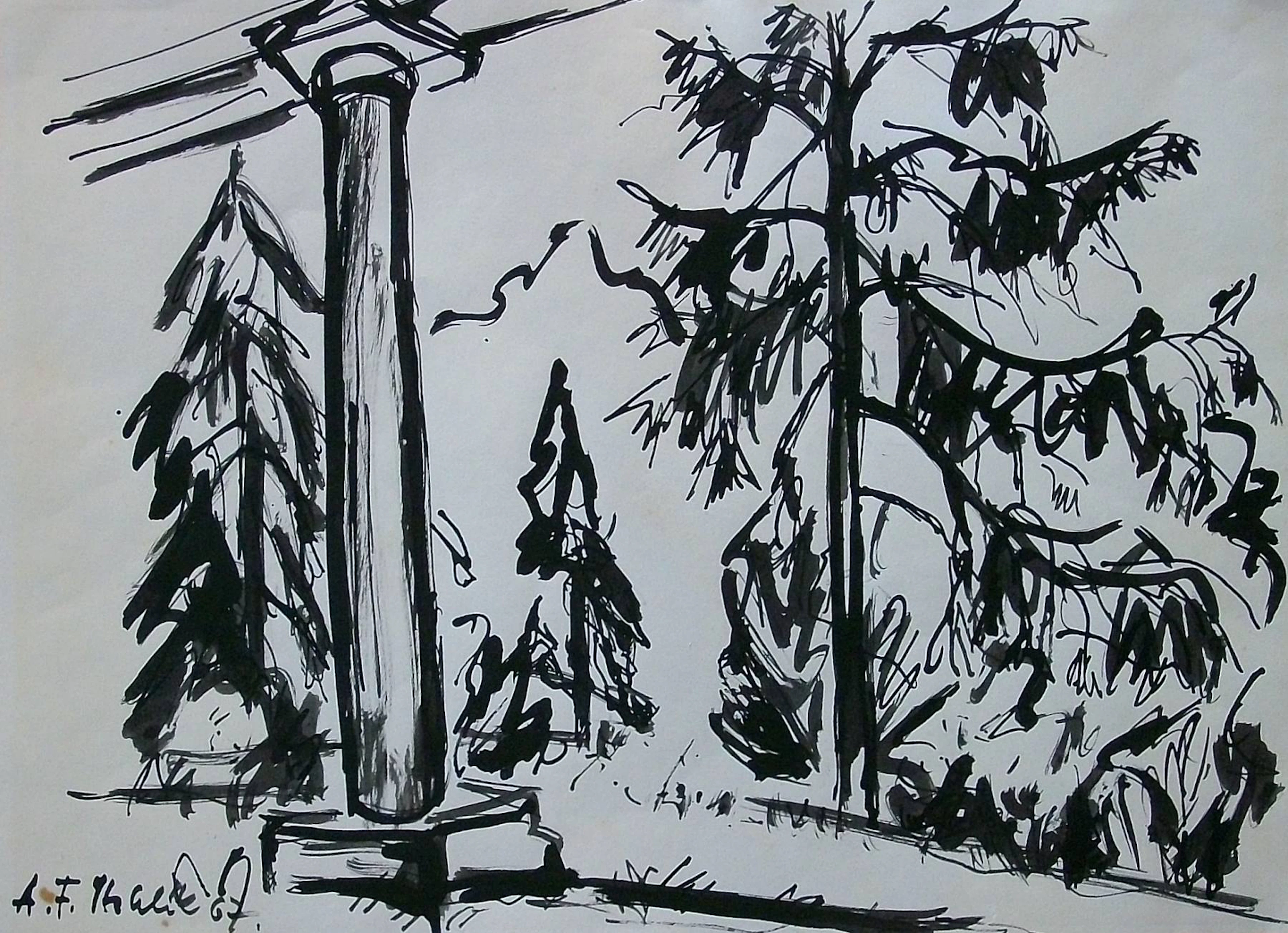 Antonin Frantisek Sthelík. Ink drawing “Landscape with Fir Trees”.