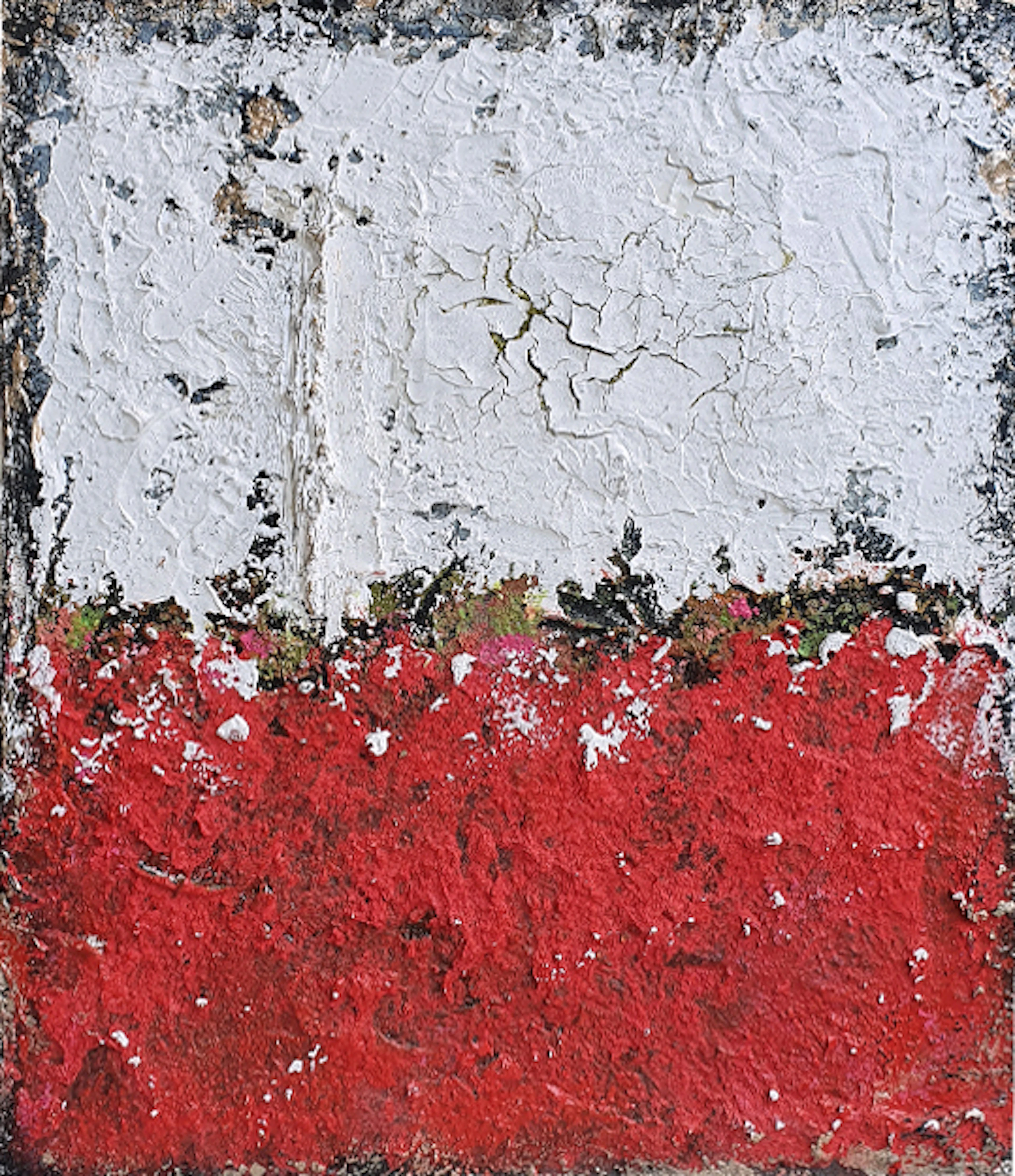 Esther Girbau: "Red Memory" (2022)