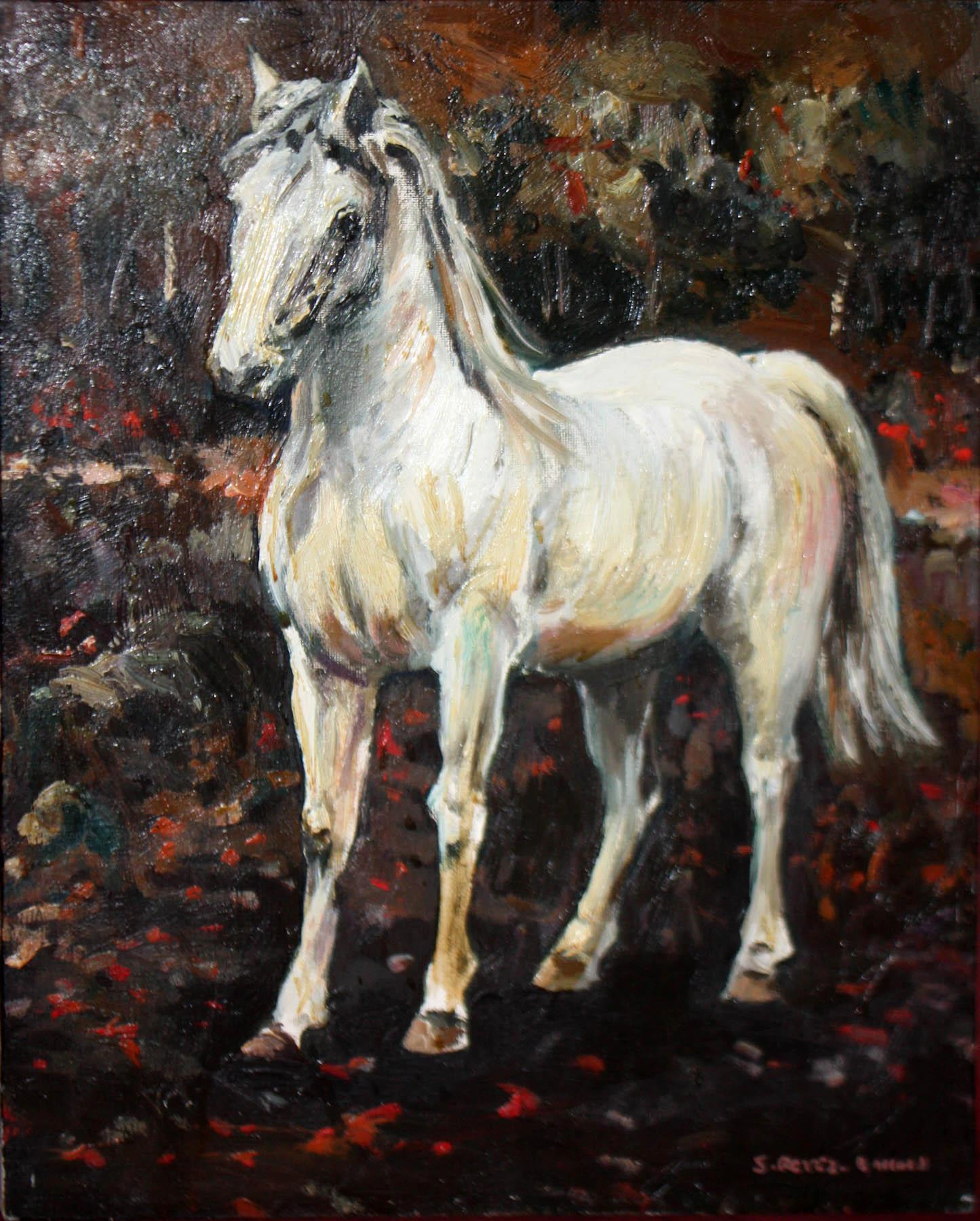 Salvador Pérez Bassols: "White horse"