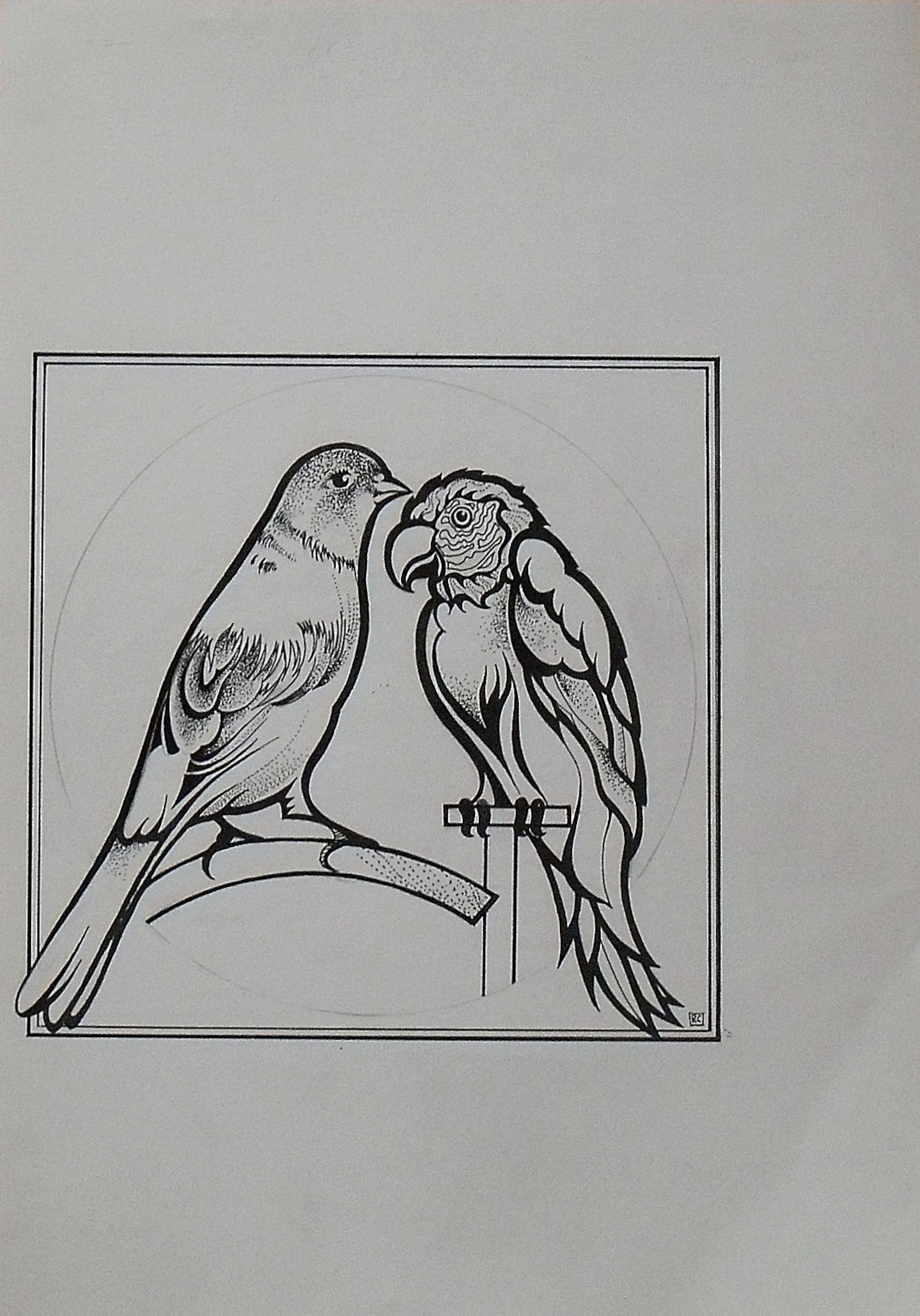 Raúl Capitani. Ink drawing "Parrot and canary". Hand signed RC.