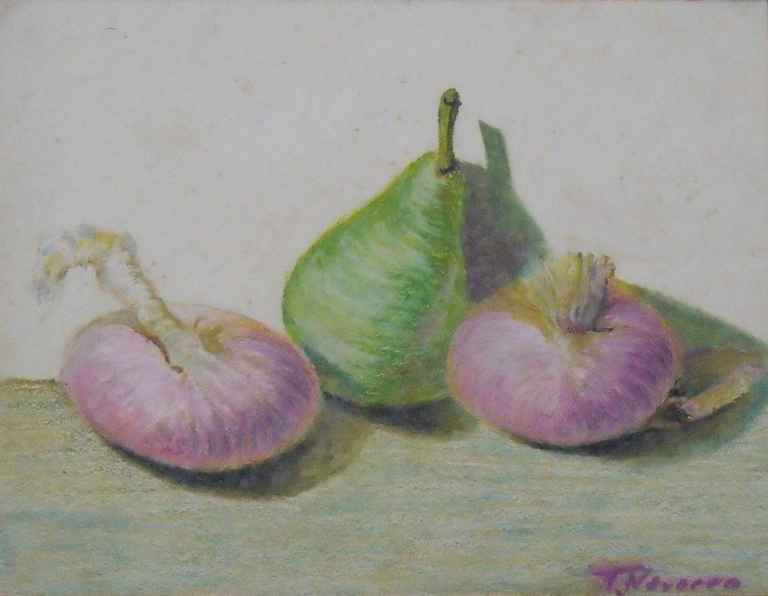 María Teresa Navarro. I draw crayons on paper. "Still life of onions