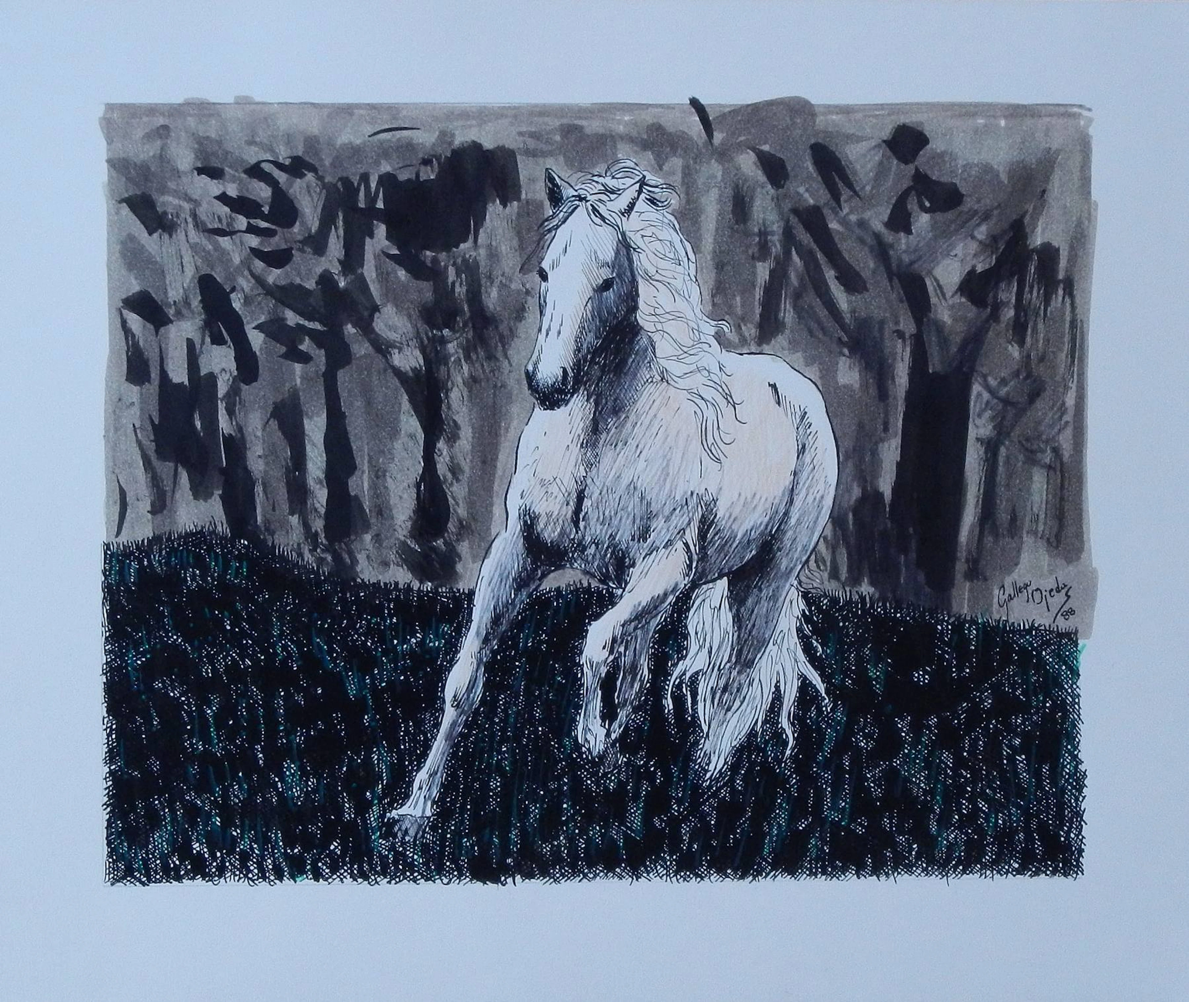Gallego Ojeda. Ink and watercolor drawing on paper. "Galloping horse".