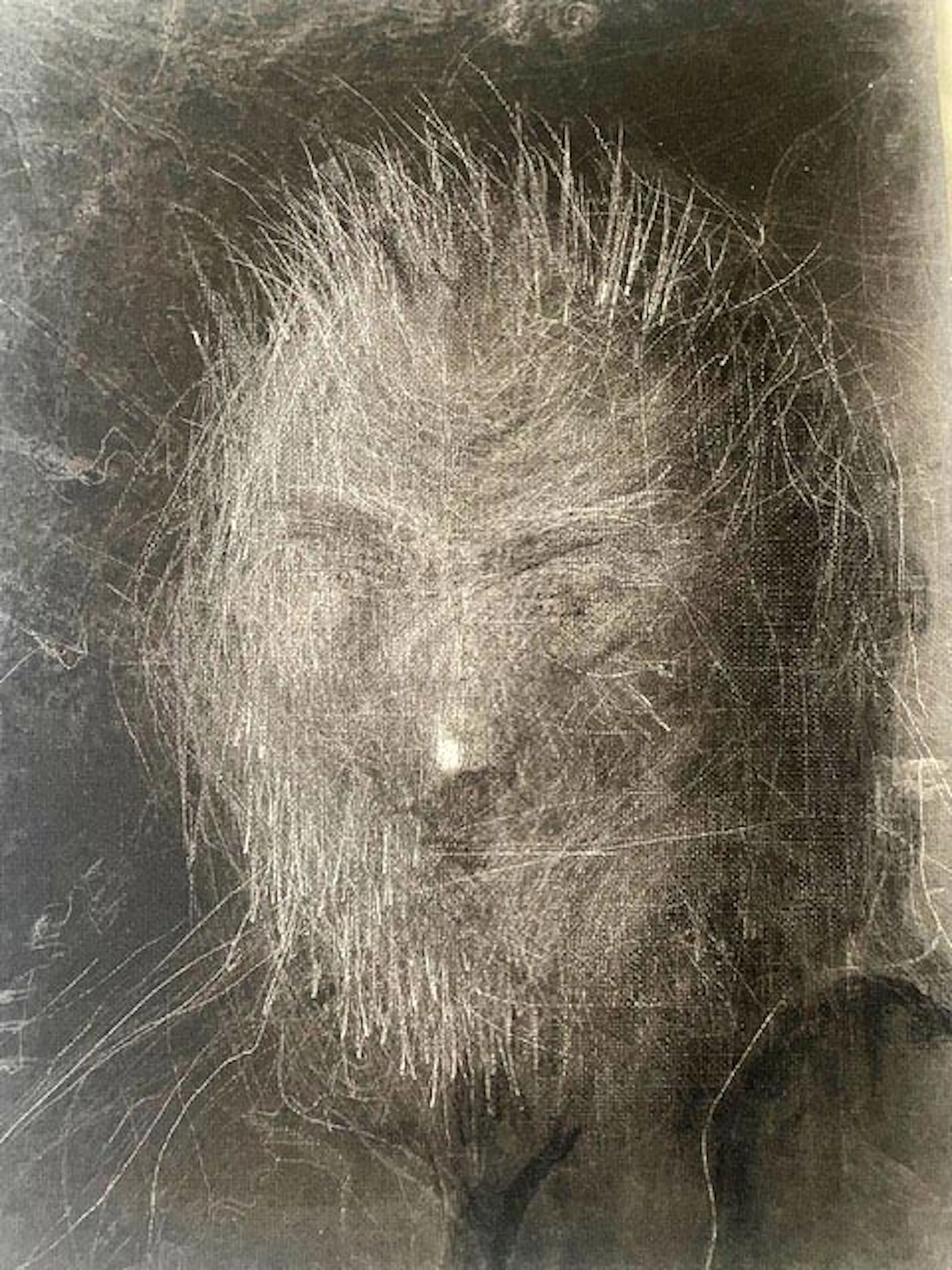 Miquel Barceló: "Despinturas" 2010