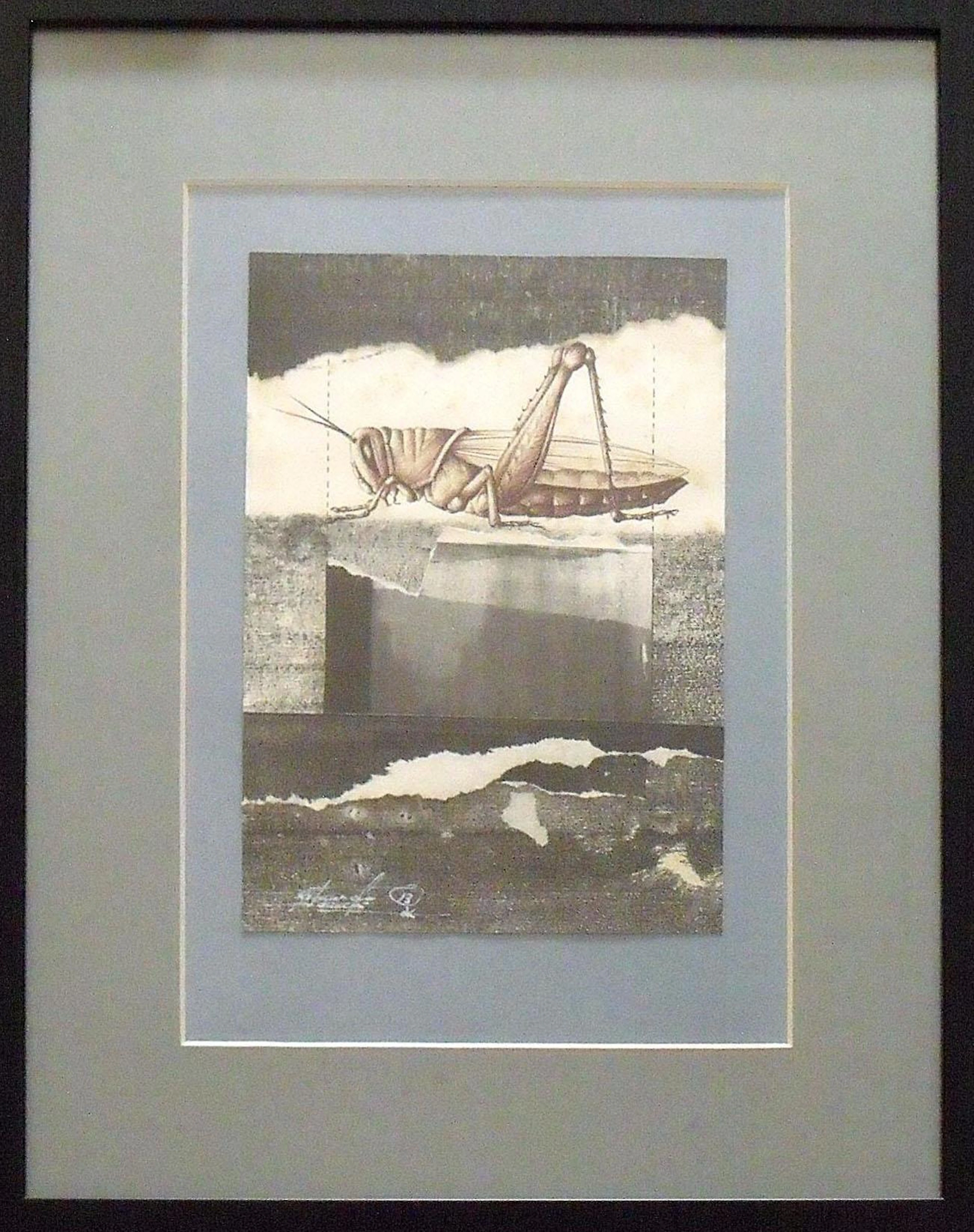 Ricard Jordan. Drawing in mixed technique and collage "The grasshopper".