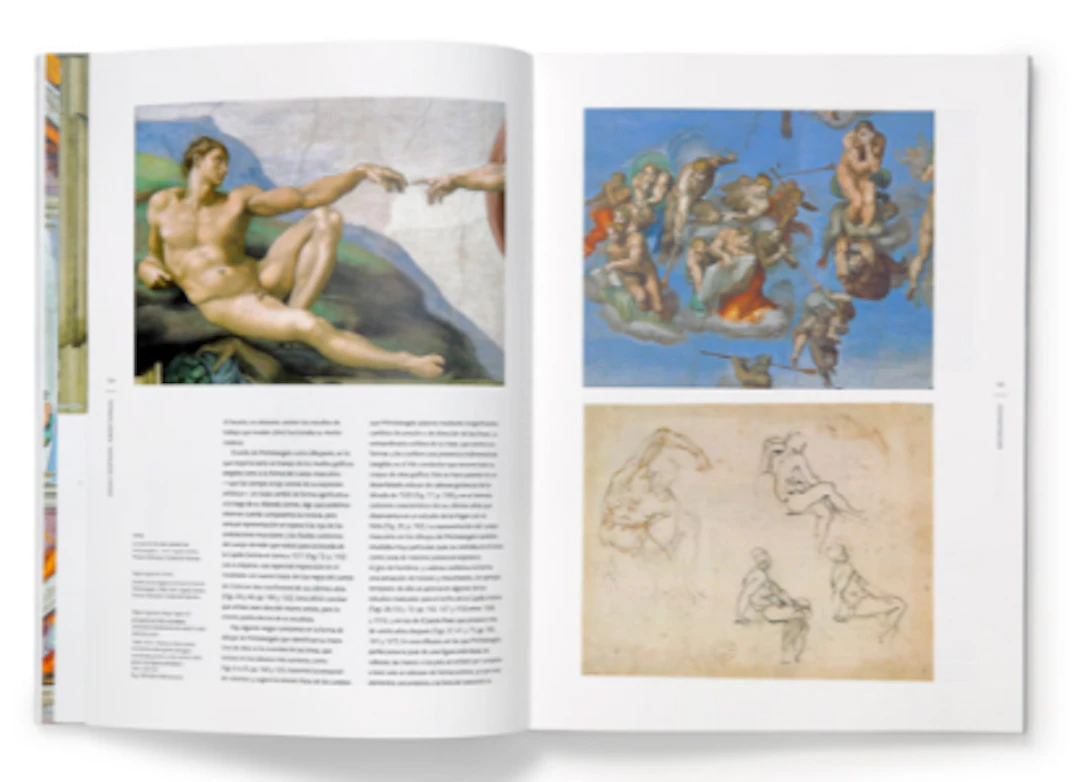 Michelangelo Buonarroti (Michelangelo: Drawings)