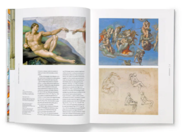 Michelangelo Buonarroti (Michelangelo: Drawings)