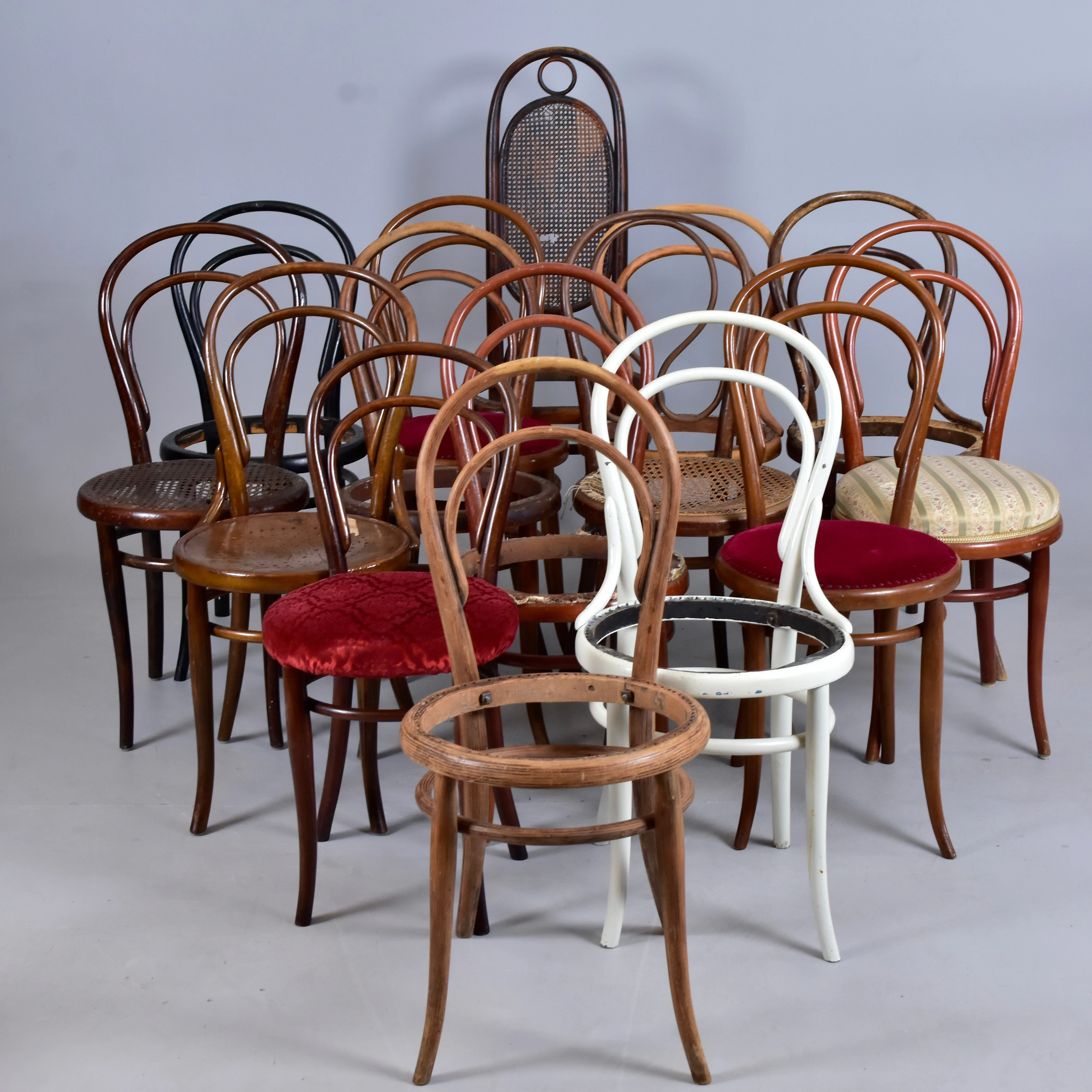 STOLAR, 16 st, böjträ, Gebrüder Thonet m fl.