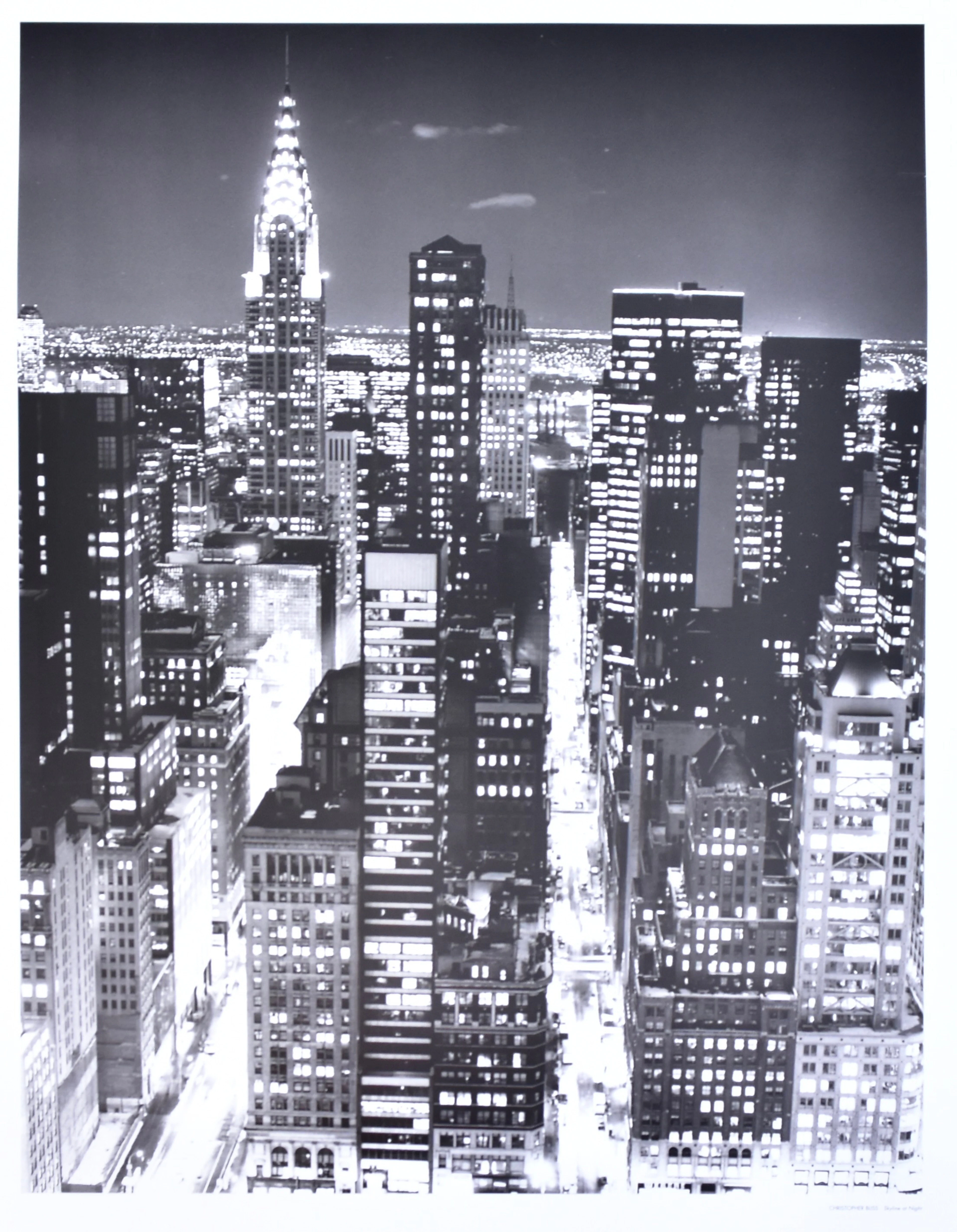 CHRISTOPHER BLISS. offset, "Skyline at Night".