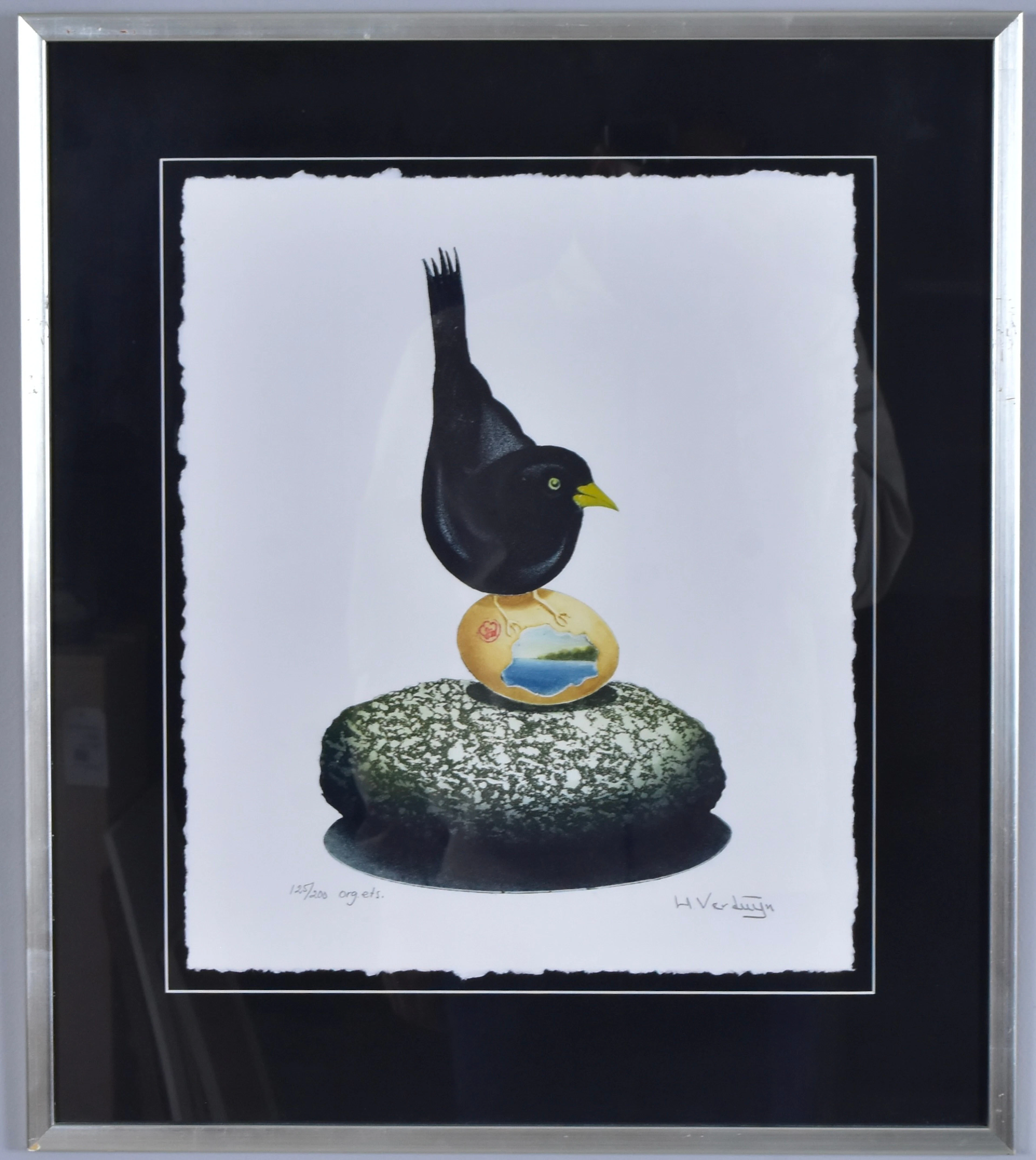 HANS VERDUIJN. Färgetsning.