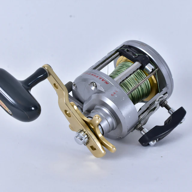 FISKERULLE, Daiva Saltist 40 HA.