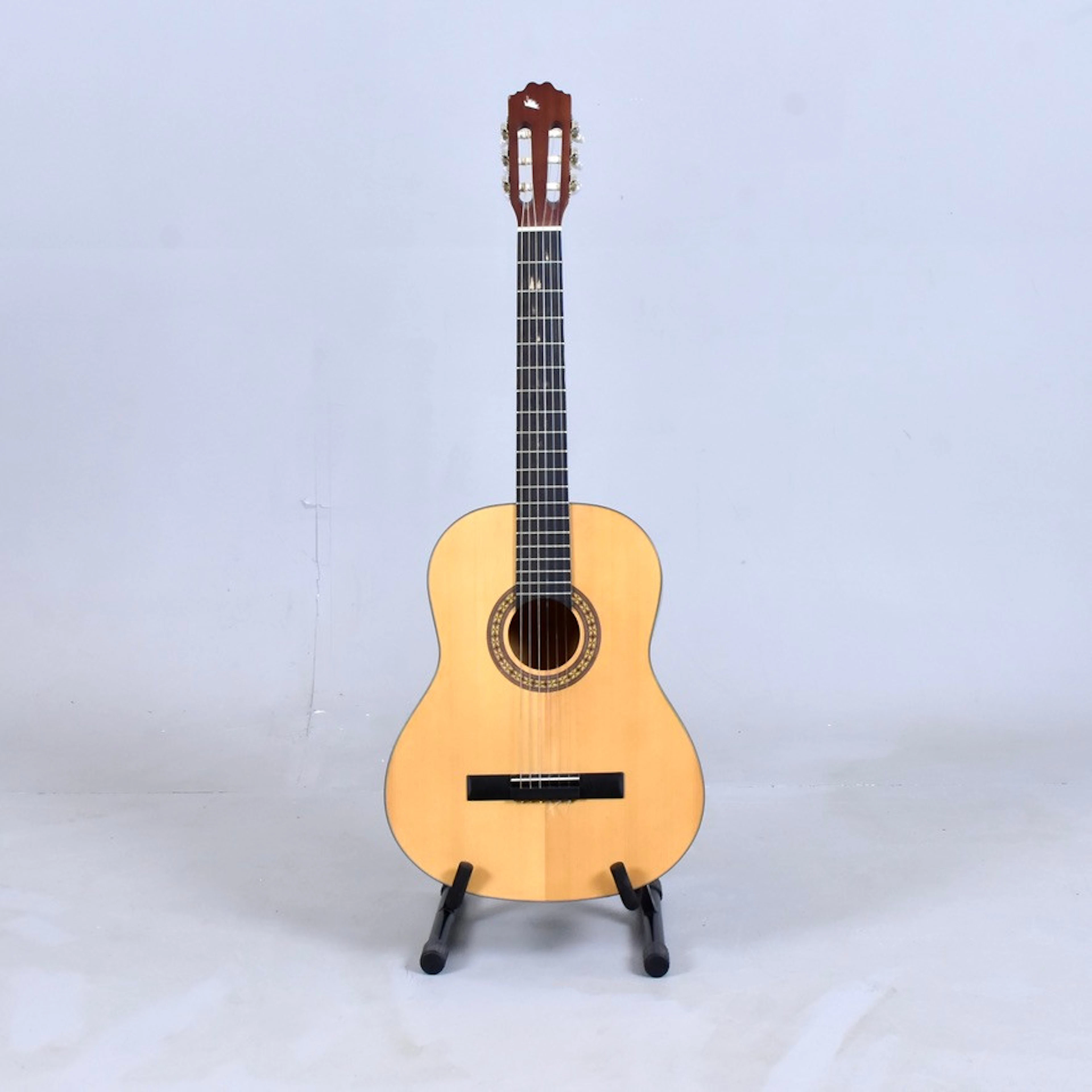 AKUSTISK GITARR med ställ och fodral.