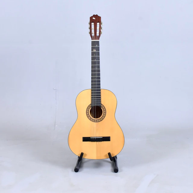 AKUSTISK GITARR med ställ och fodral.