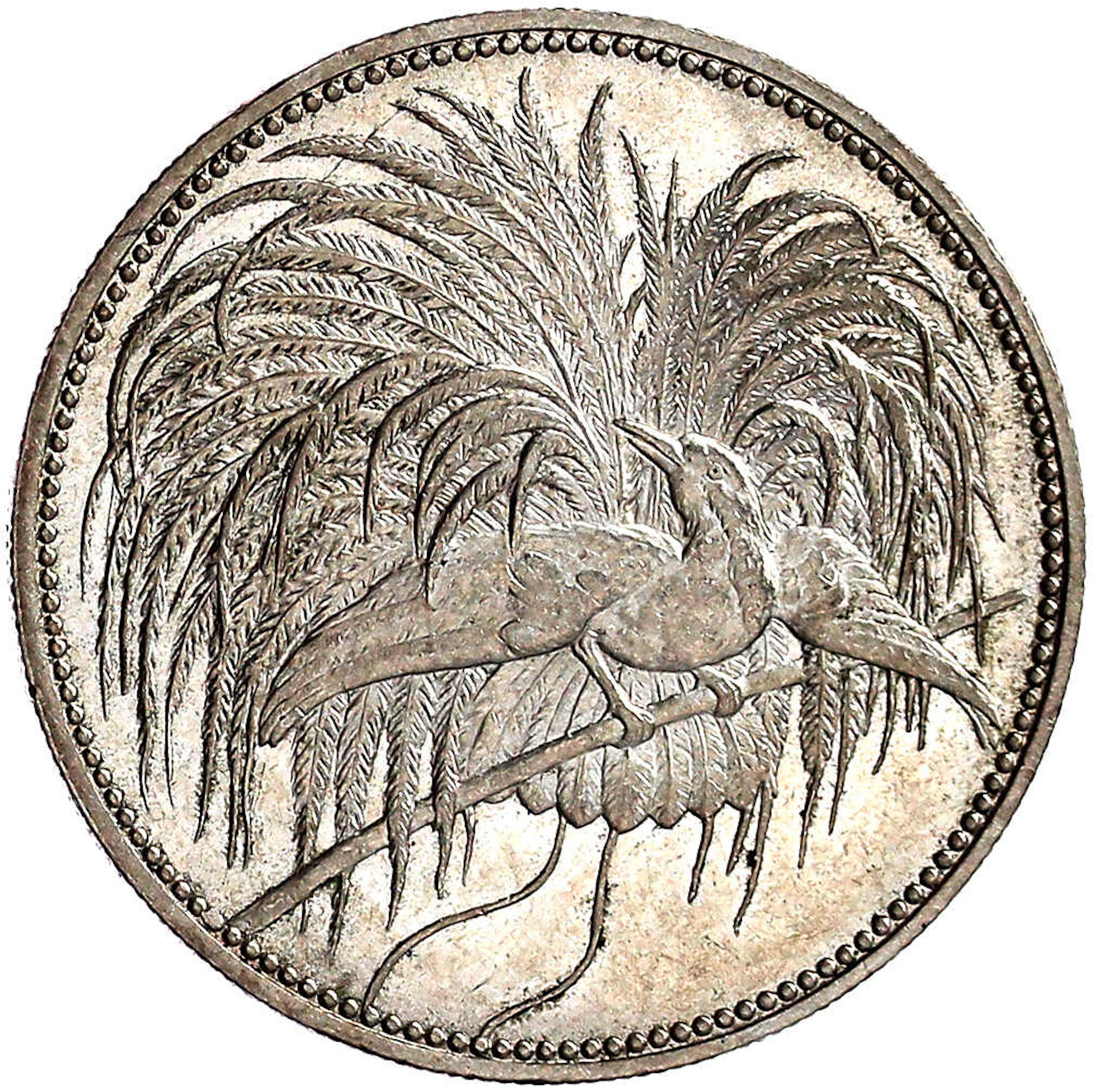 Münzen der Kolonien und Nebengebiete, Deutsch-Neuguinea, Neuguinea Compagnie