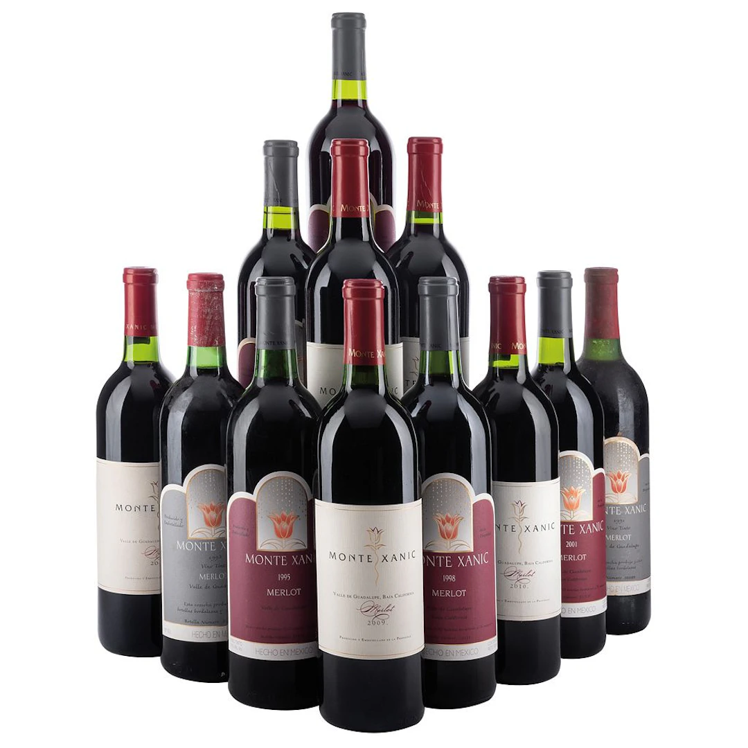 Vertical Merlot Cosechas: 1991, 1993, 1995, 1998, 2001, 2002, 2003