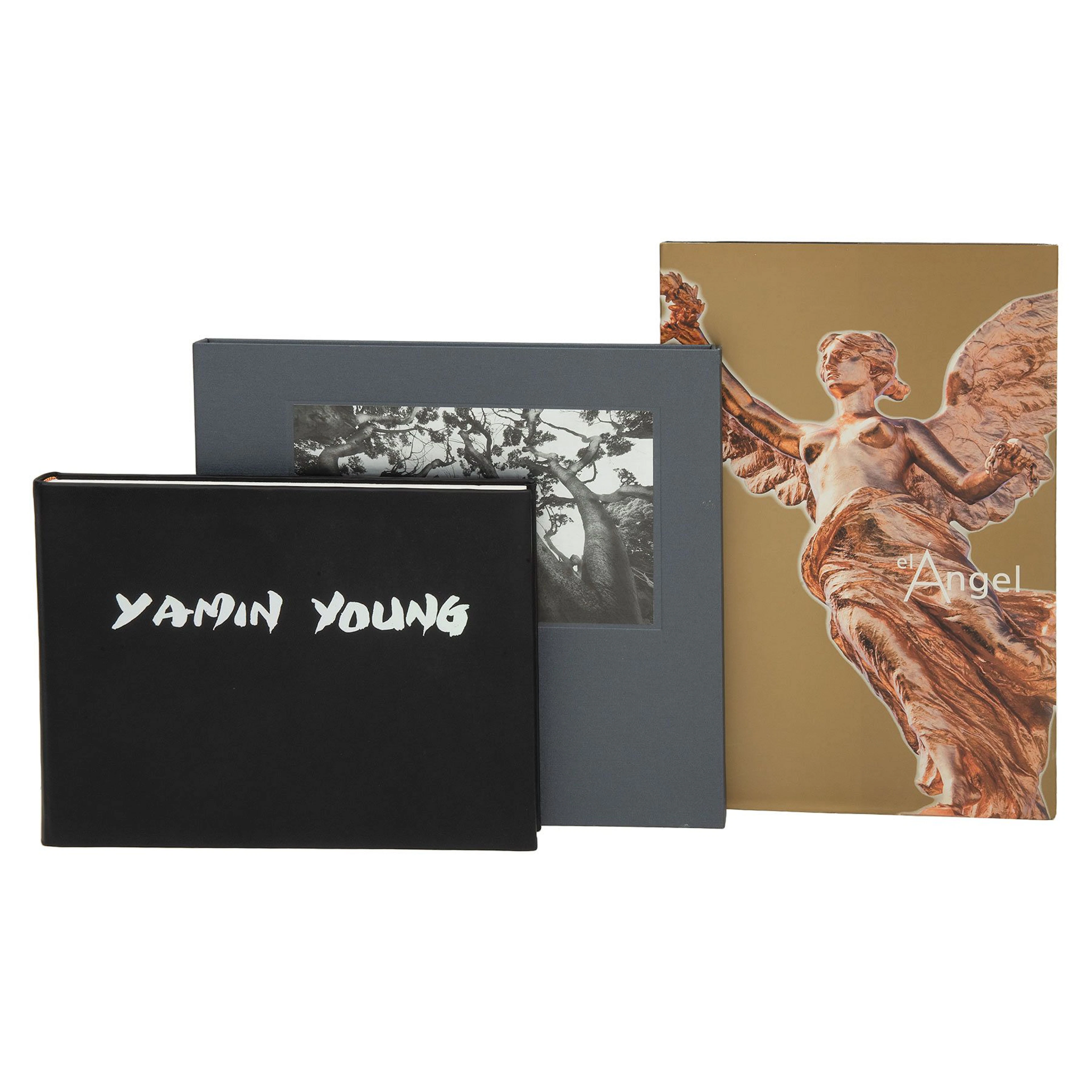 EL ÁNGEL / MORELIA / YAMIN YOUNG a) El Ángel. México, GDF Encuadernado