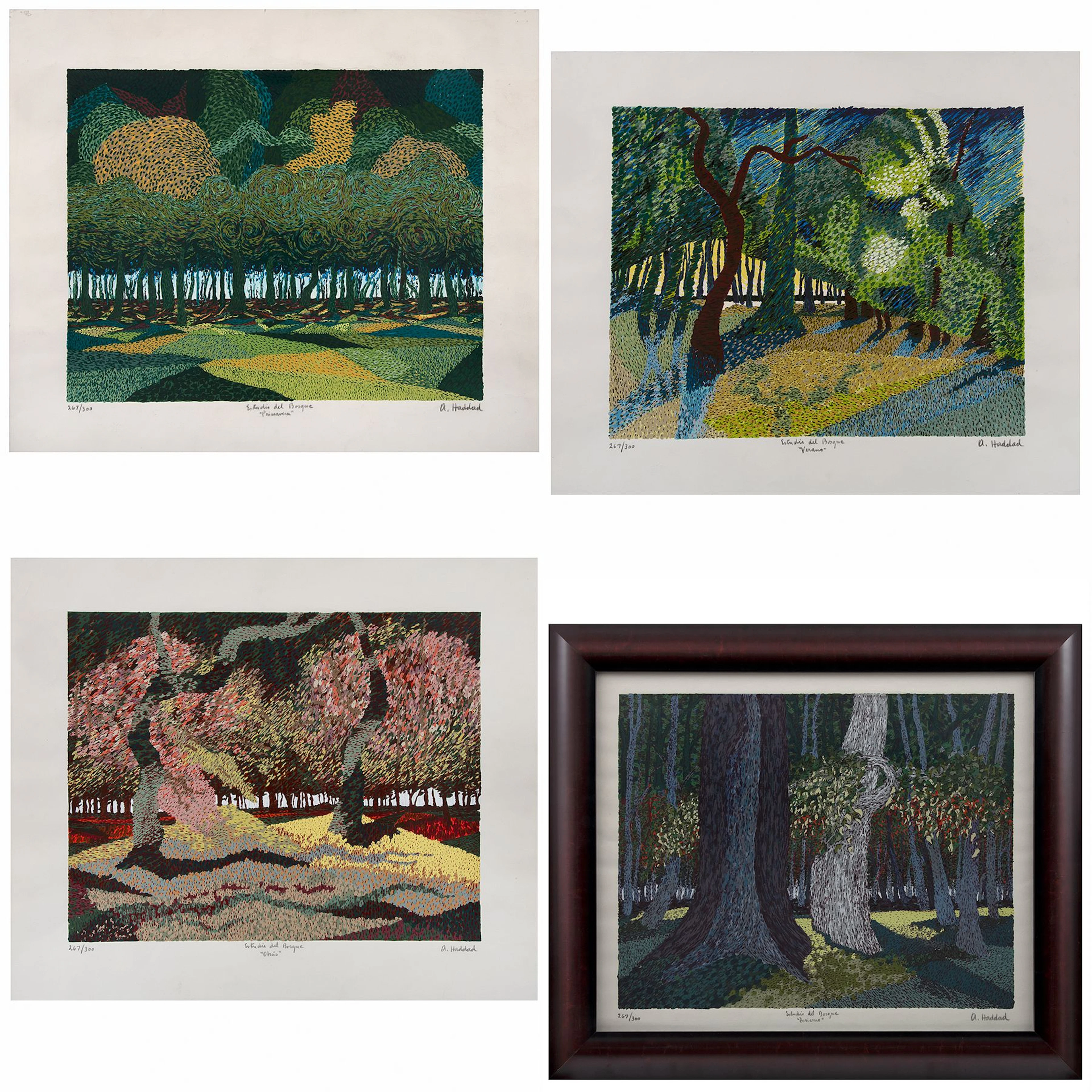 ALEJANDRO HADDAD. Primavera,Verano,Otoño,Invierno, de la carpeta Estudios