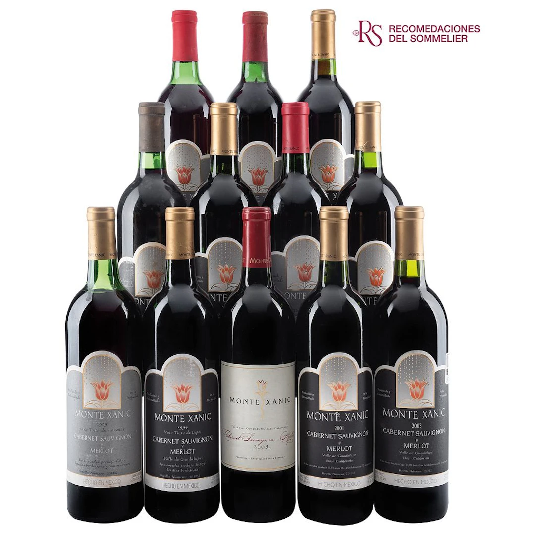 Vertical Cabernet Sauvignon - Merlot Cosechas: 1989, 1990, 1991, 1992