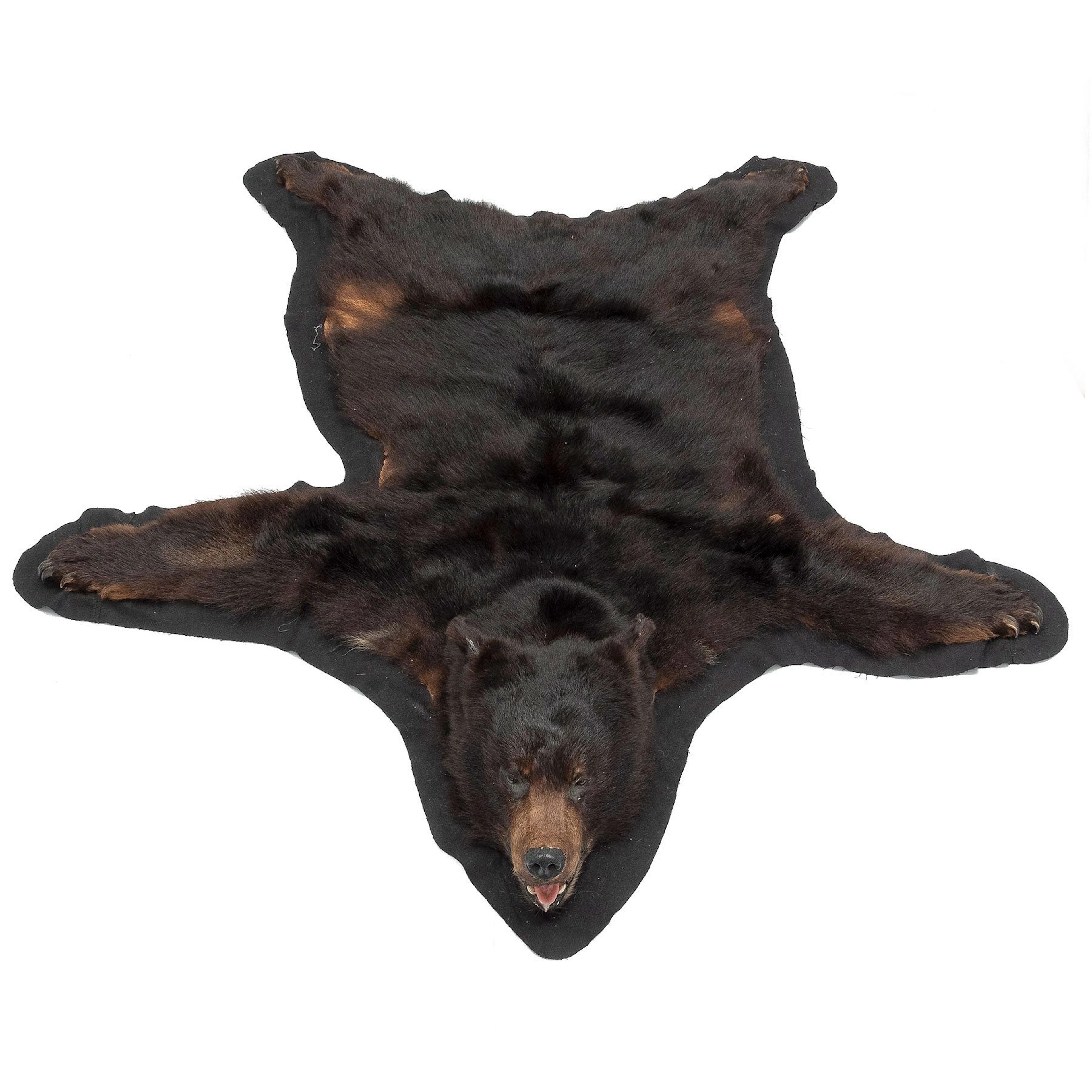 TAPETE. SIGLO XX. Piel de oso negro