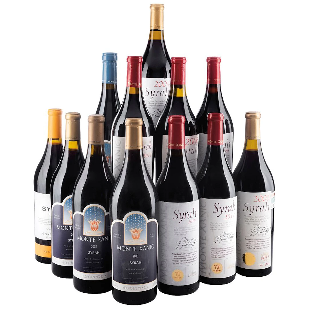 Vertical Limitada Syrah Cosechas: 2000, 2001, 2002, 2003, 2004, 2005