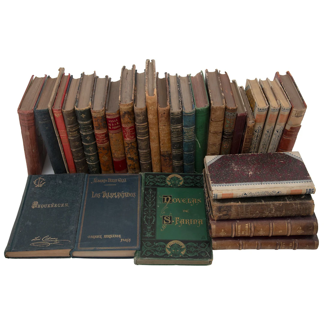 LOTE DE LIBROS SOBRE VARIOS TEMAS SIGLOS XX Y XXI Varias épocas. Piezas: 29