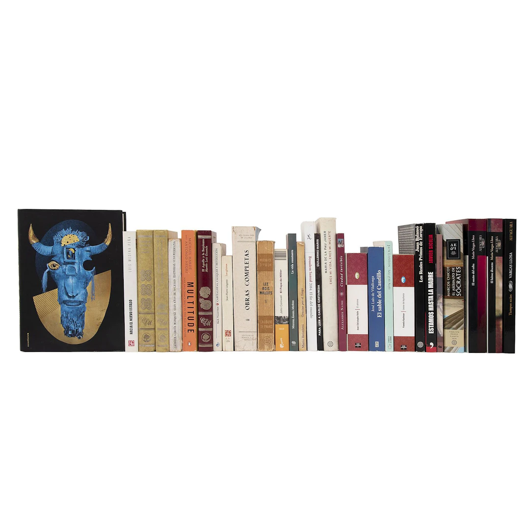 LOTE DE LIBROS SOBRE LITERATURA SXX Y XXI Varias épocas e idiomas